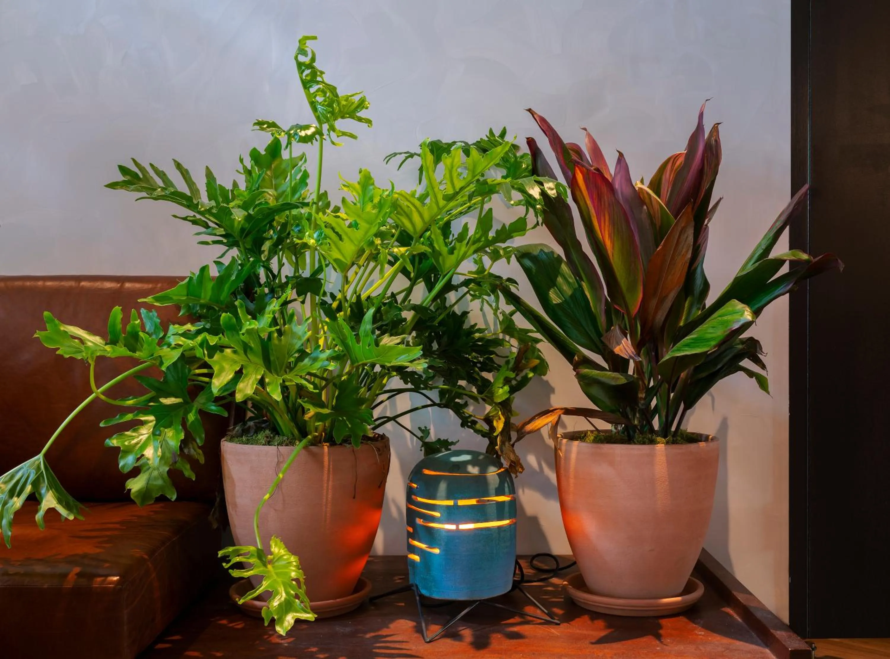 Decorative detail in MADE Hotel