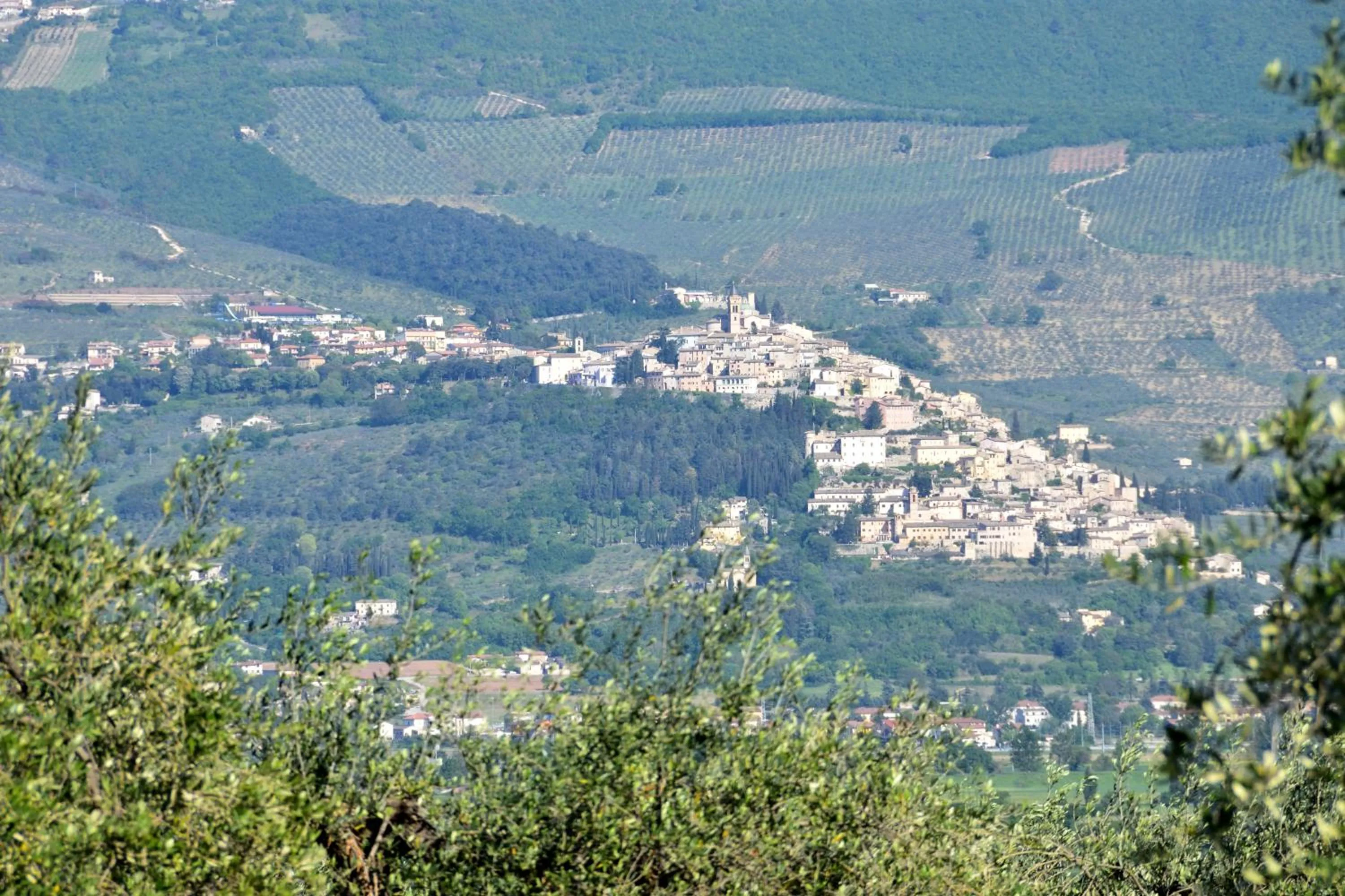 Mountain view in Agriturismo La Madonnina