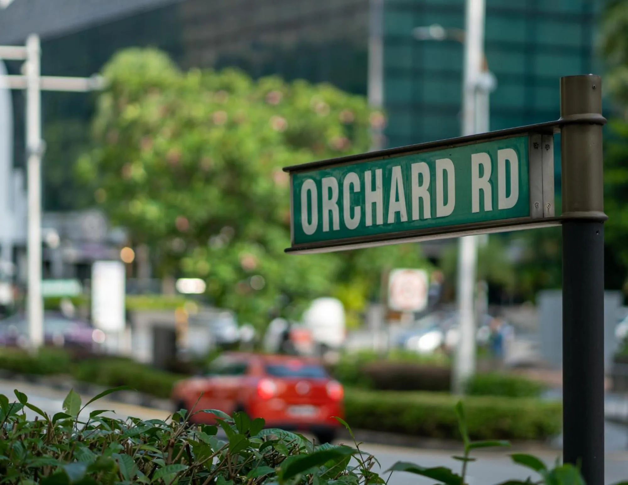 Neighbourhood in Royal Plaza on Scotts