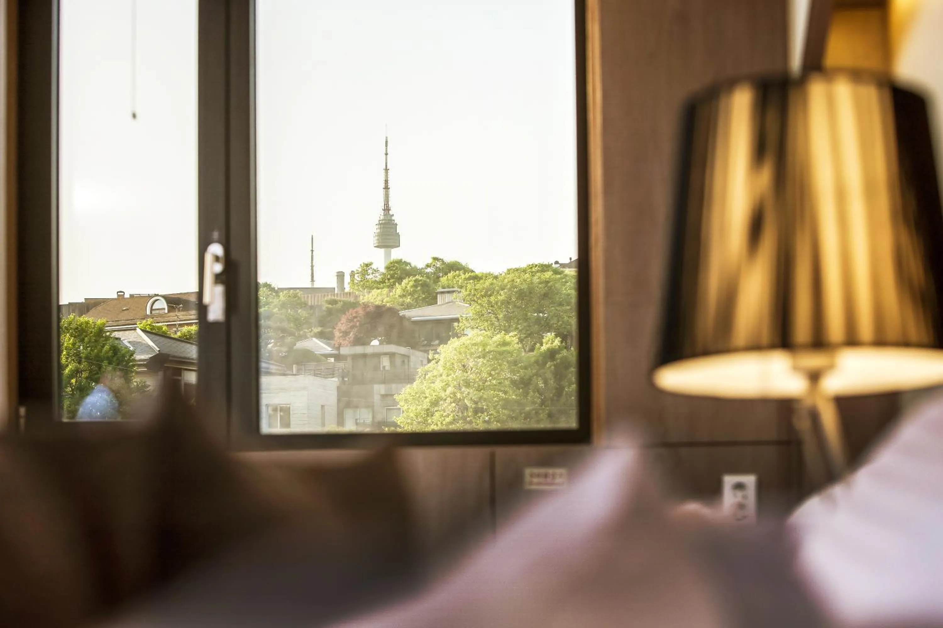 Mountain view in Hamilton Hotel