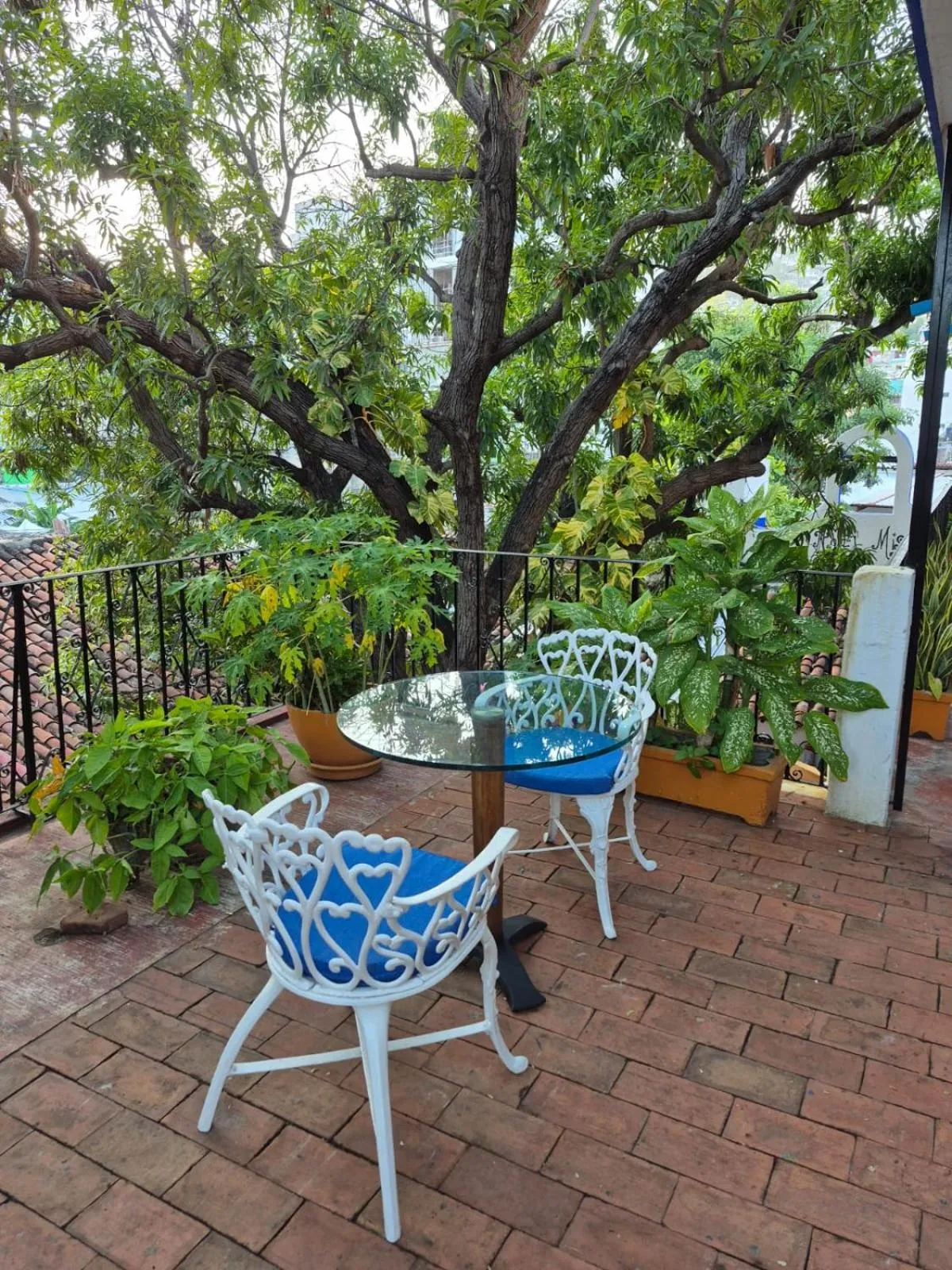 Balcony/Terrace in Hotel Mision, Acapulco centro