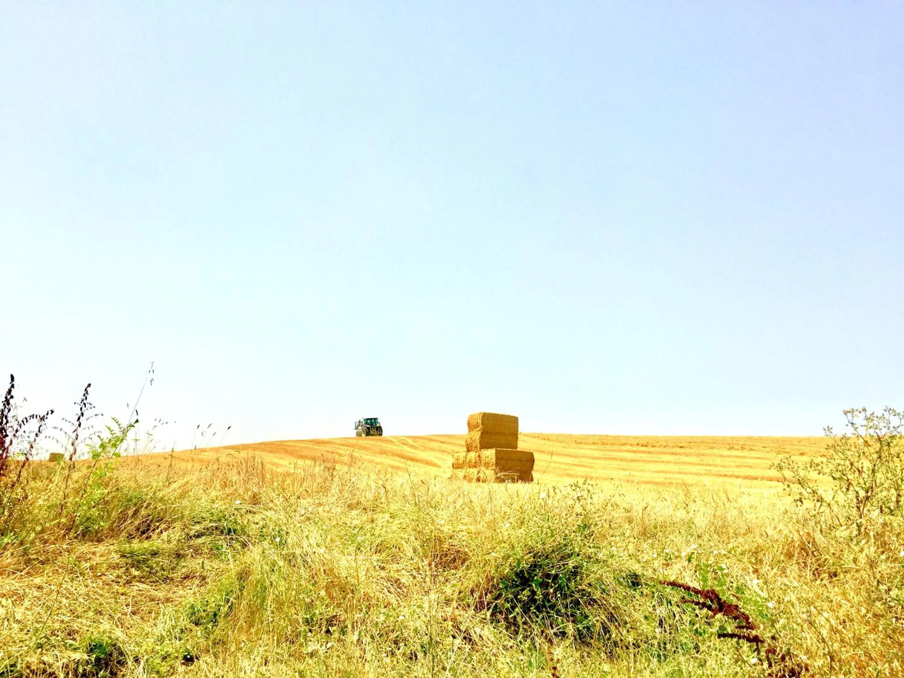 Nearby landmark in Locanda Vesuna Hotel Countryhouse