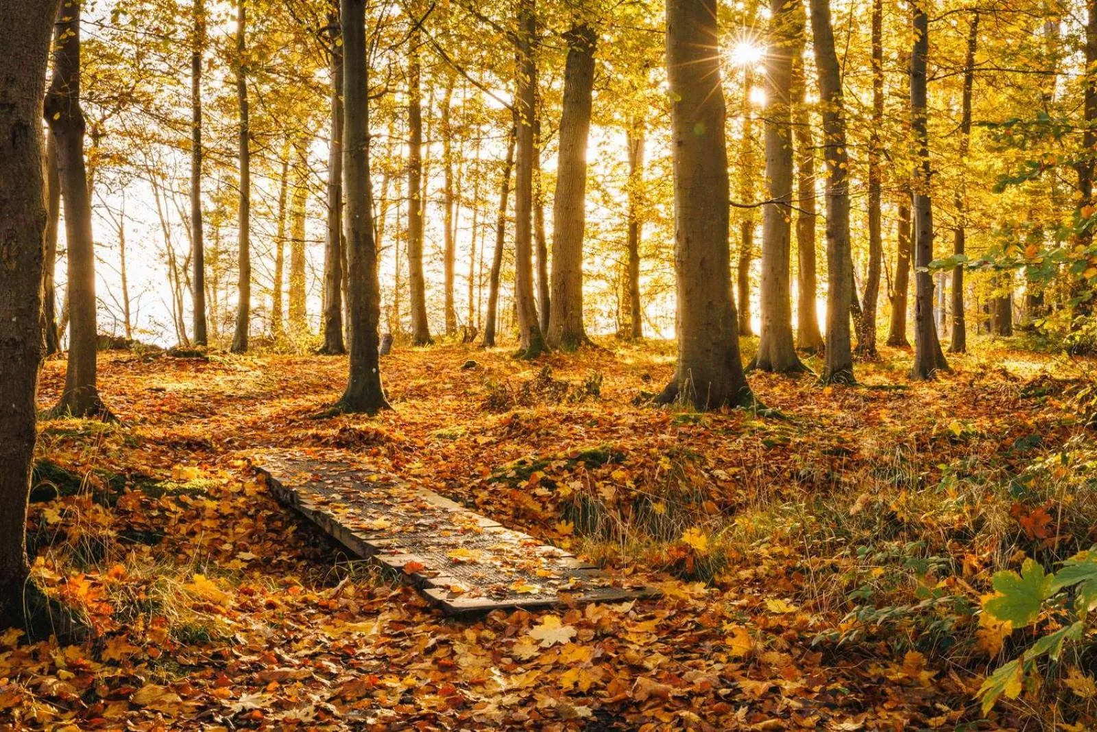 Hiking in Hotel Gammel Havn