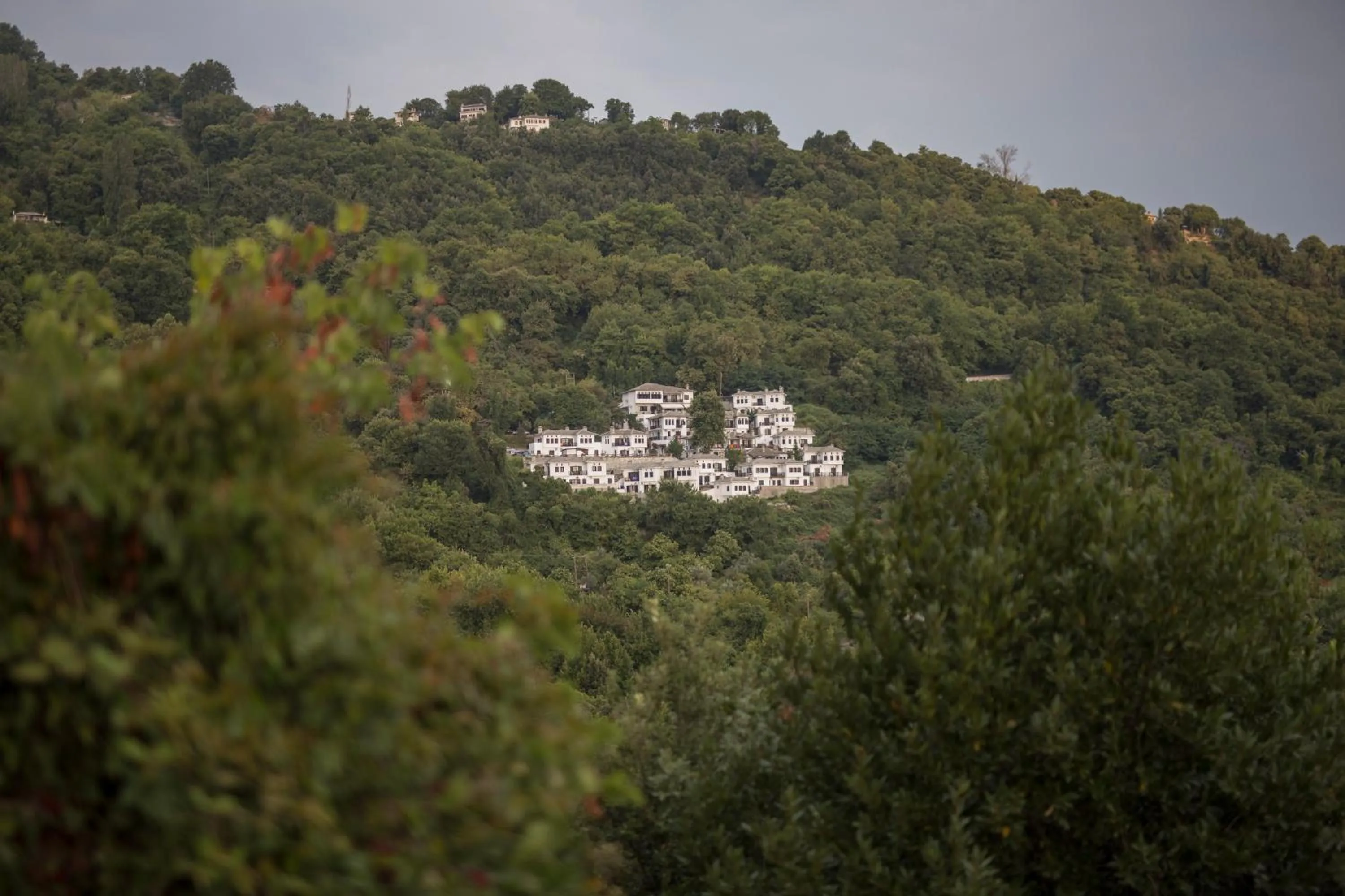 Bird's eye view in Pilio Sea Horizon Hotel