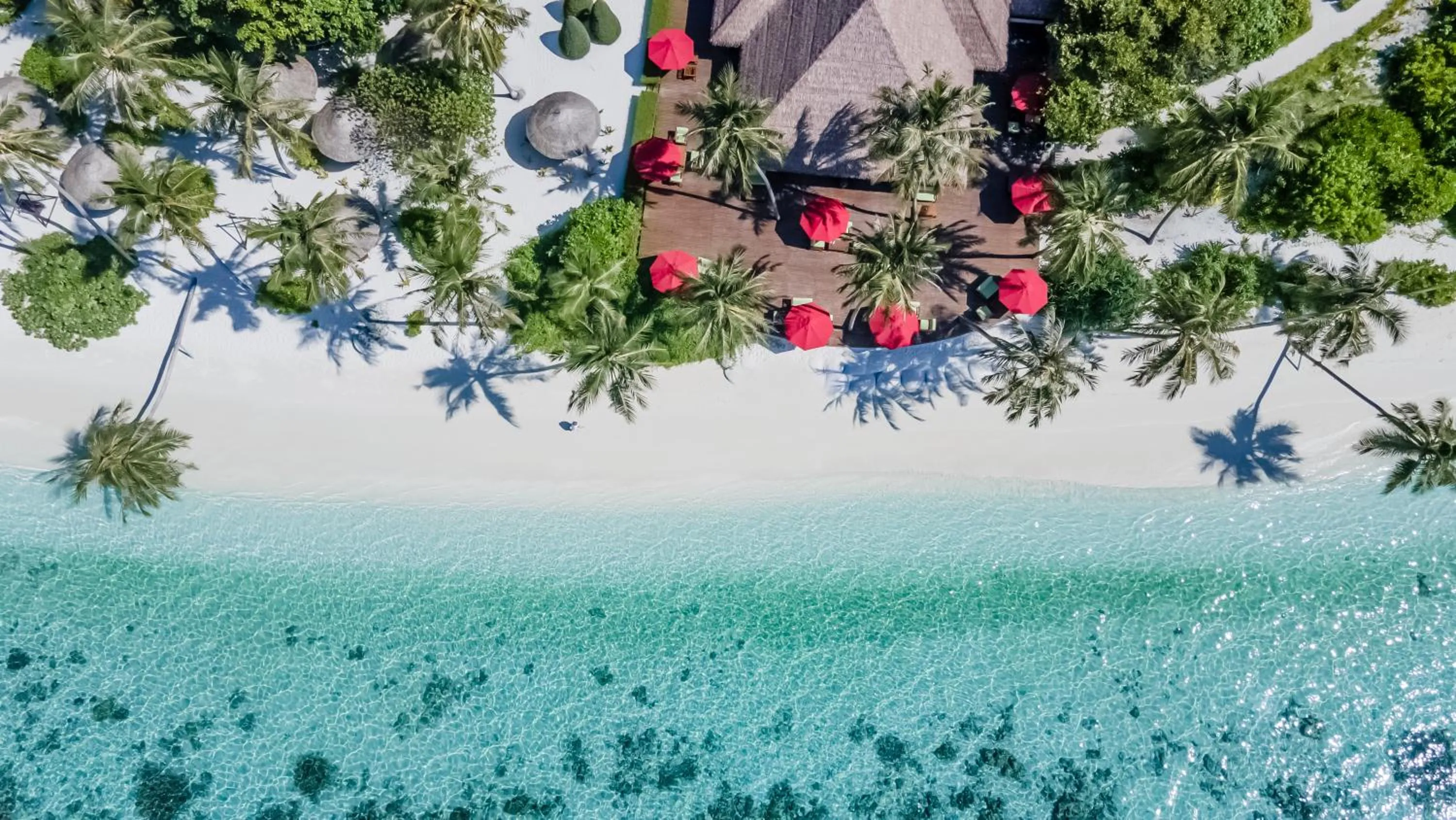 Lounge or bar in Reethi Faru Resort