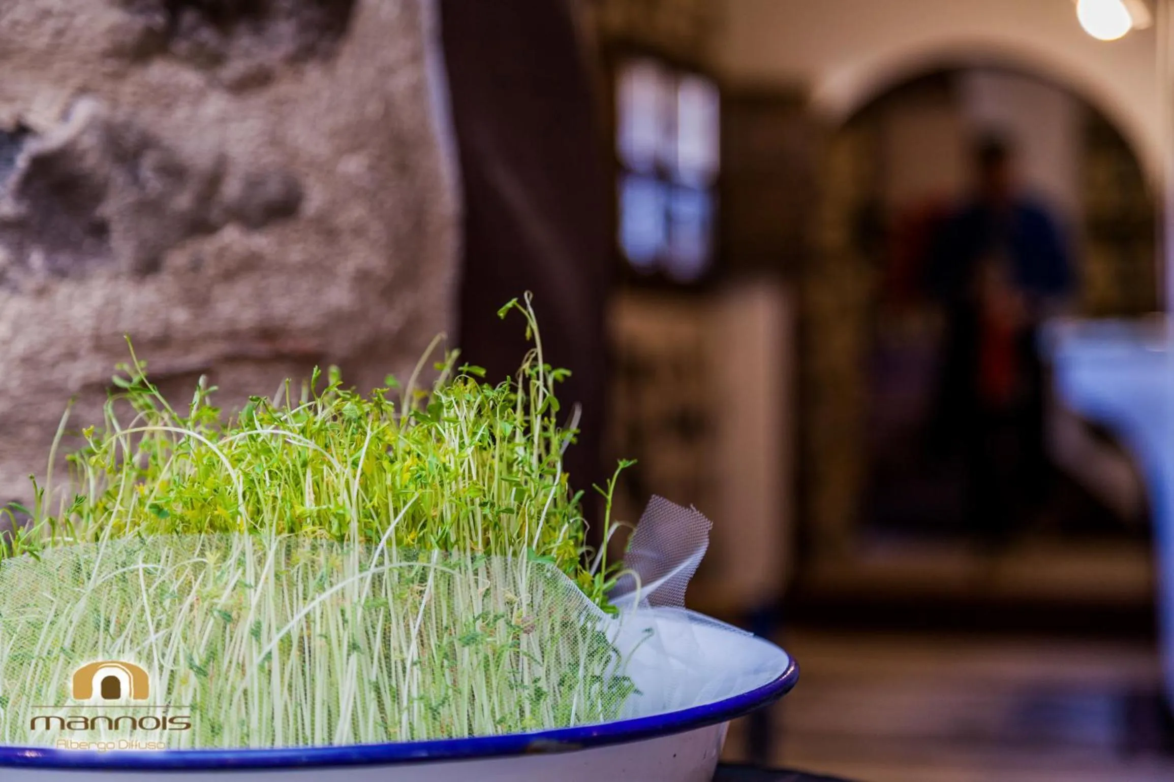 Other in Albergo Diffuso Mannois