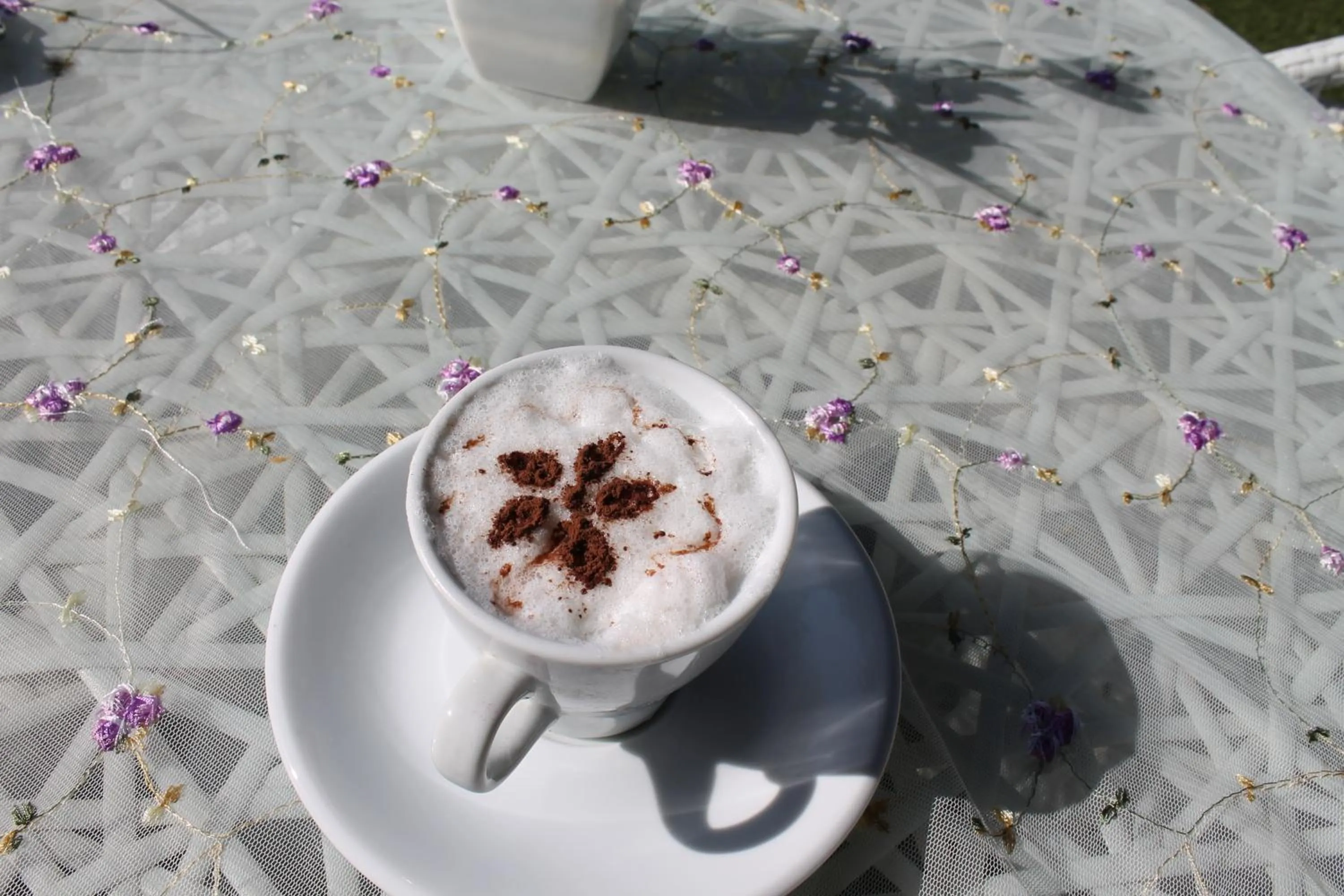 Drinks in Villa Alisia