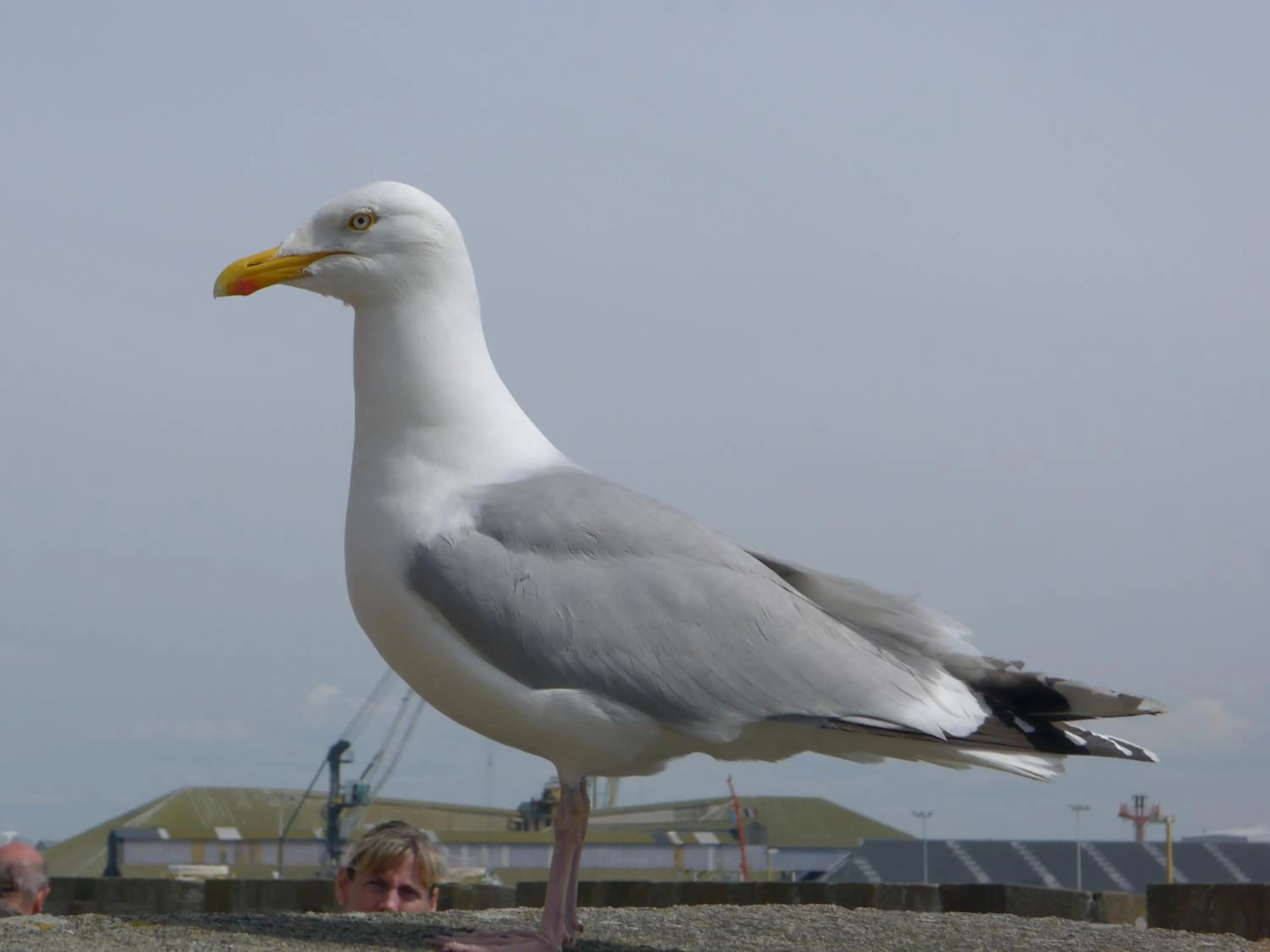 Other in Résidence Neptunia