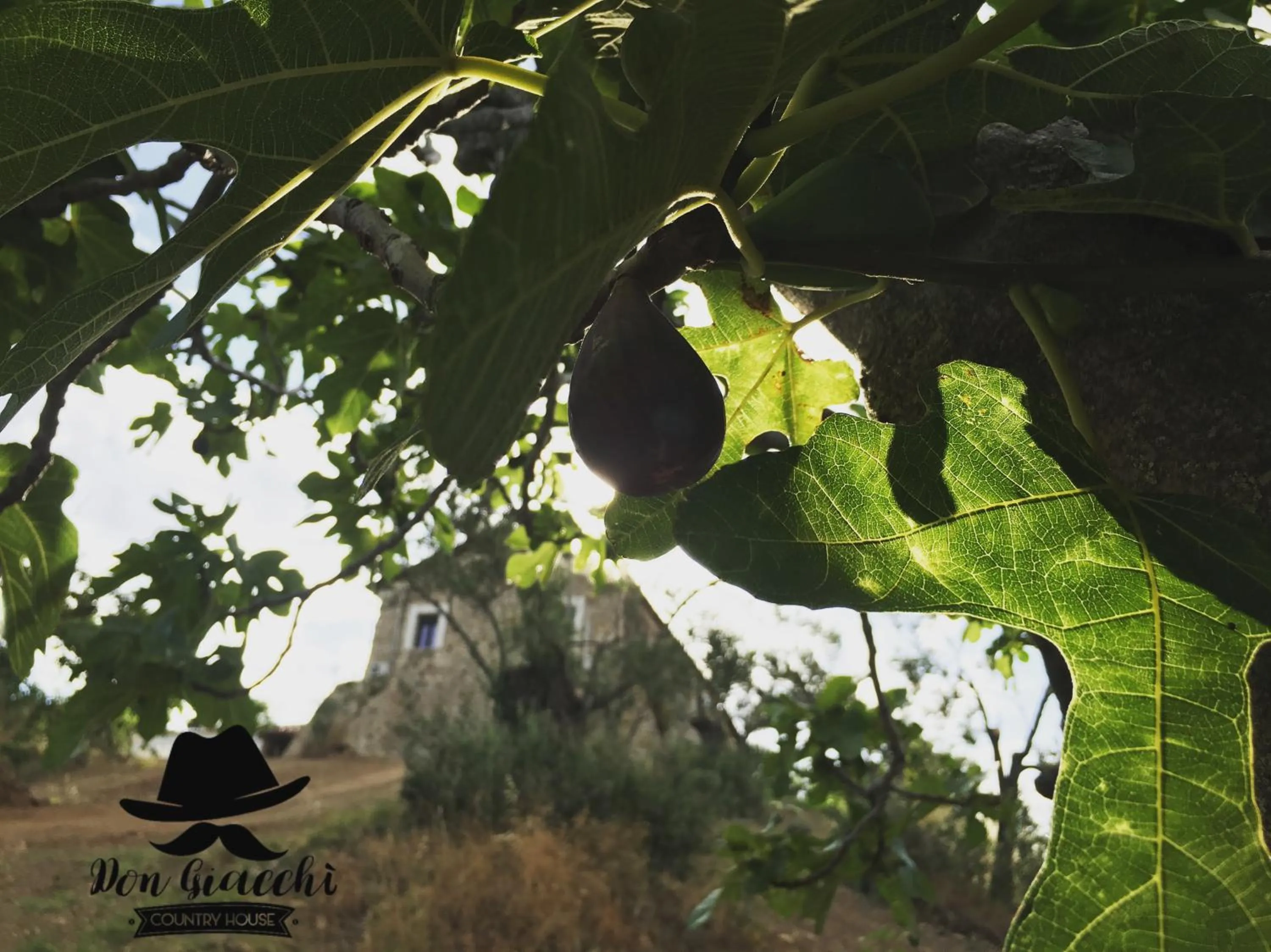 Garden in Don Giacchì Country House
