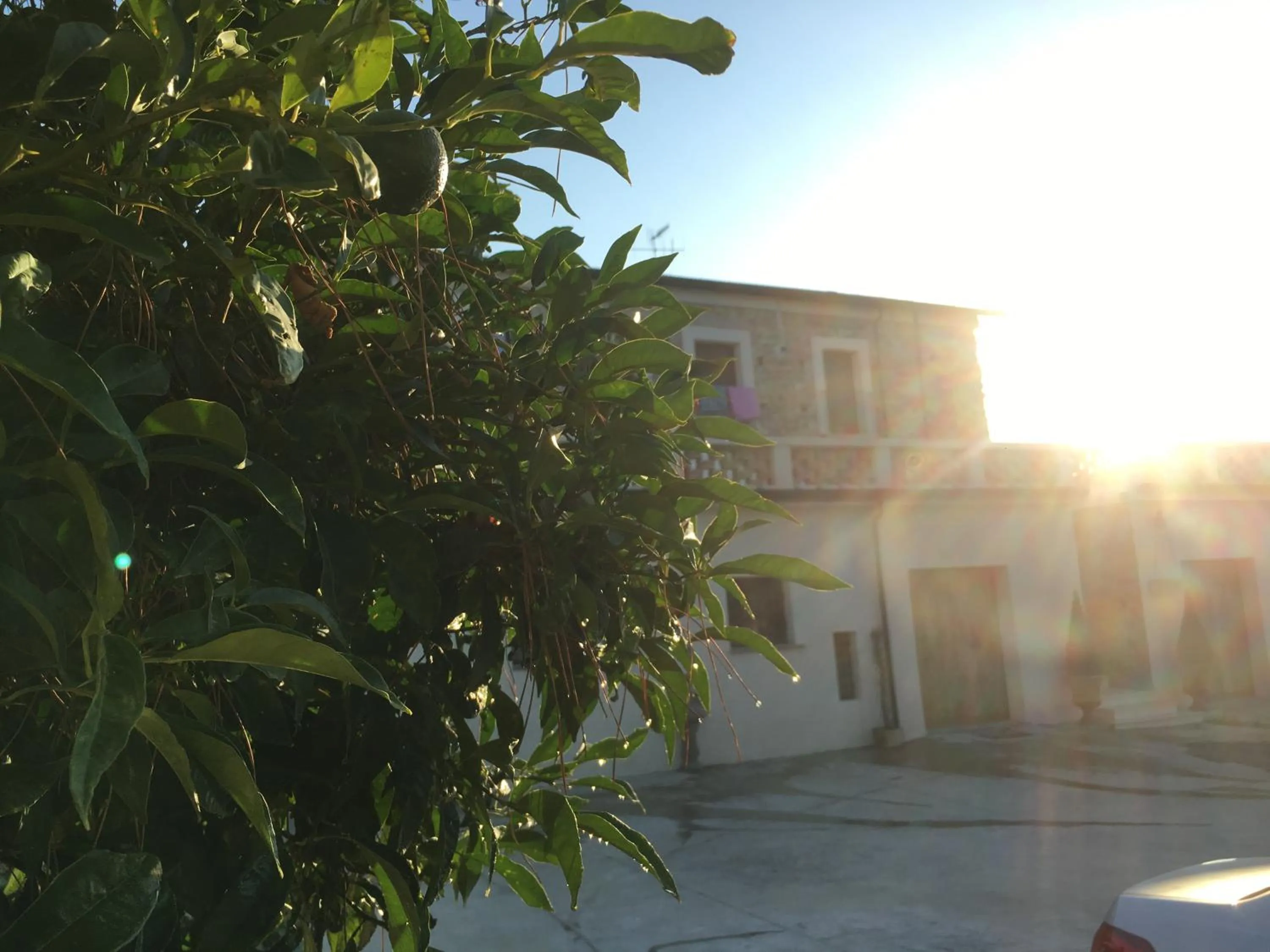 Garden in Don Giacchì Country House