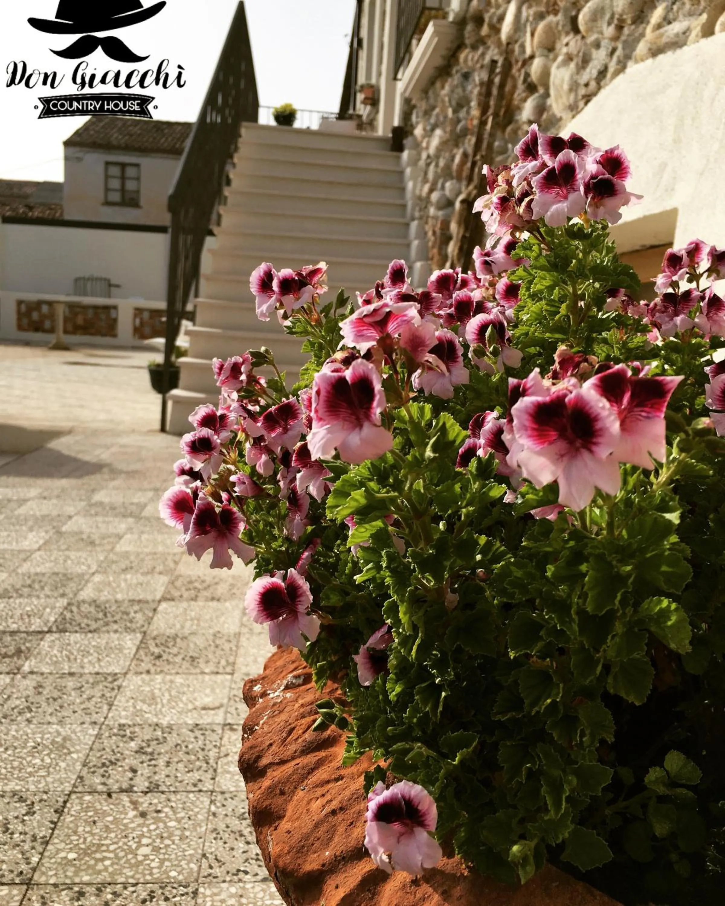 Property building in Don Giacchì Country House