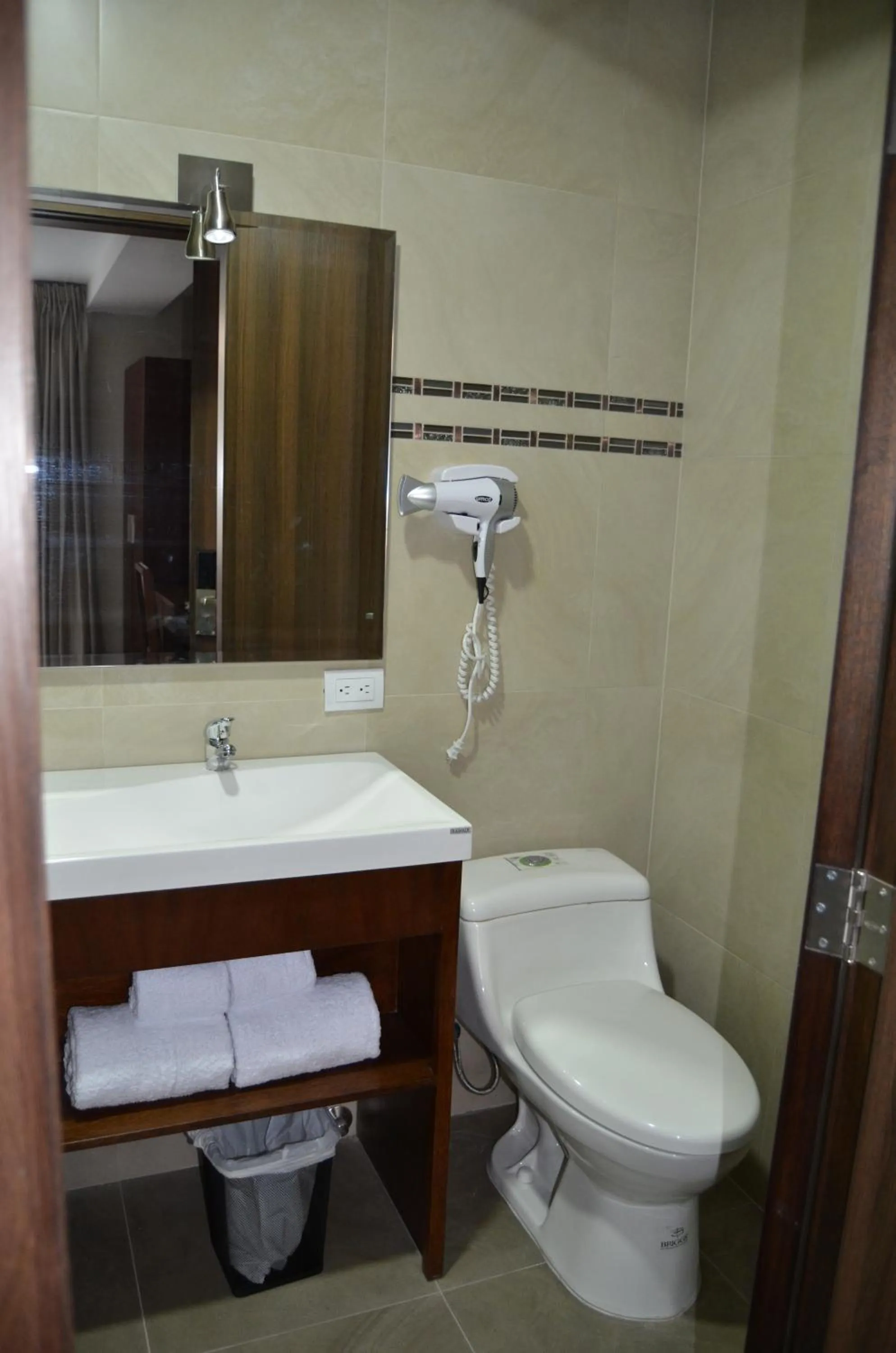 Toilet in Hotel San Agustin Plaza
