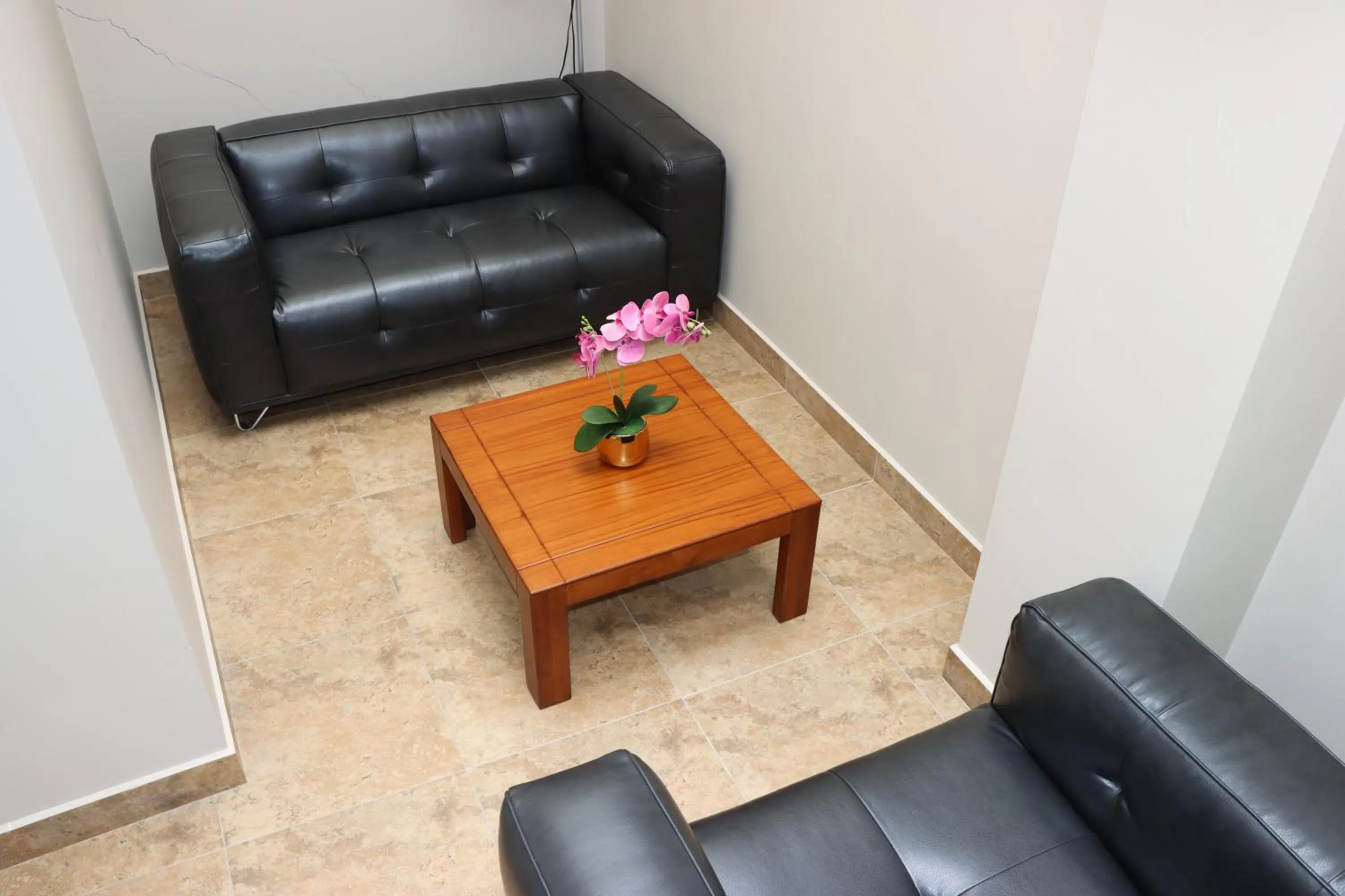 View (from property/room) in Hotel San Agustin Plaza