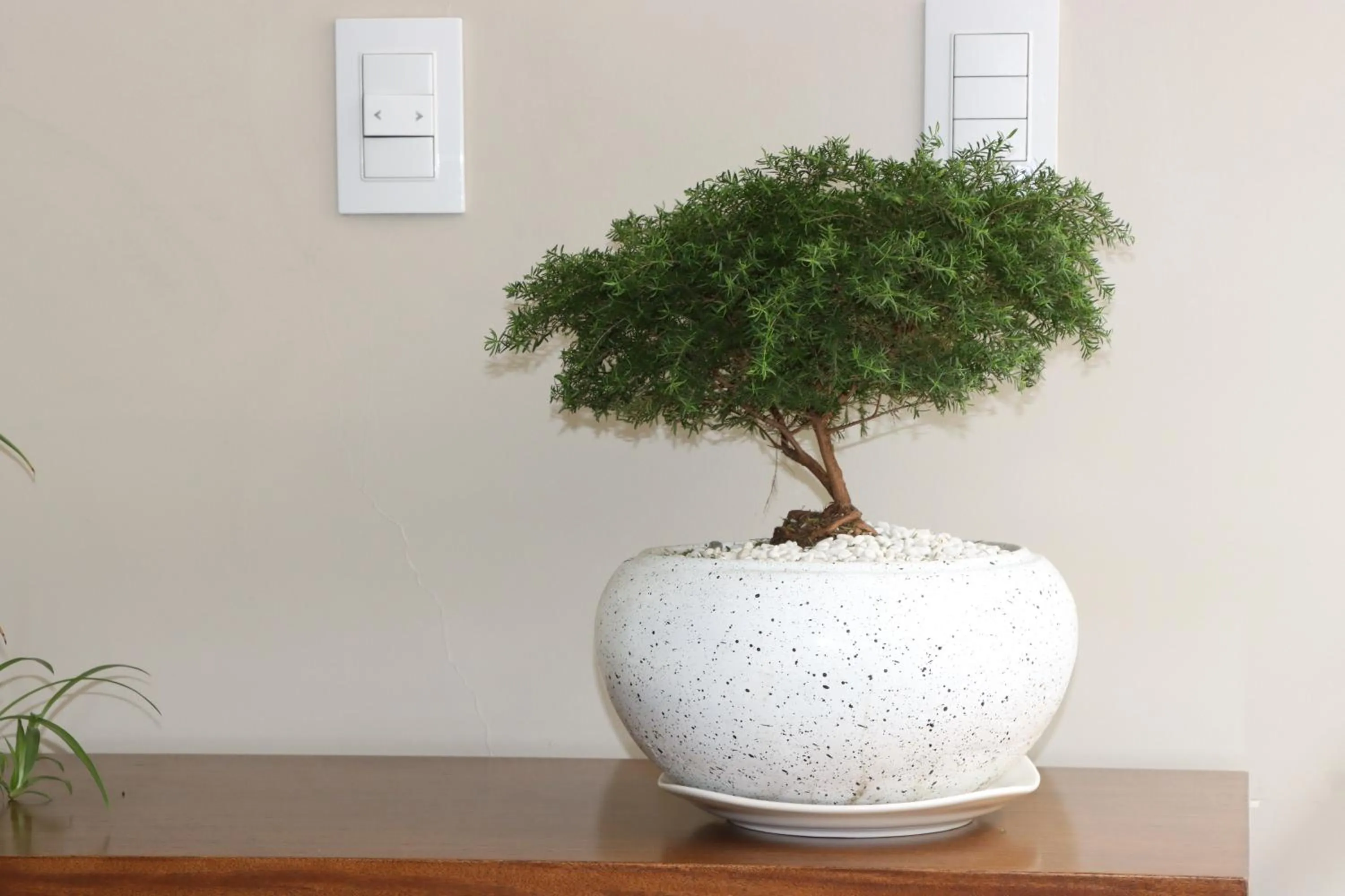 Property building in Hotel San Agustin Plaza