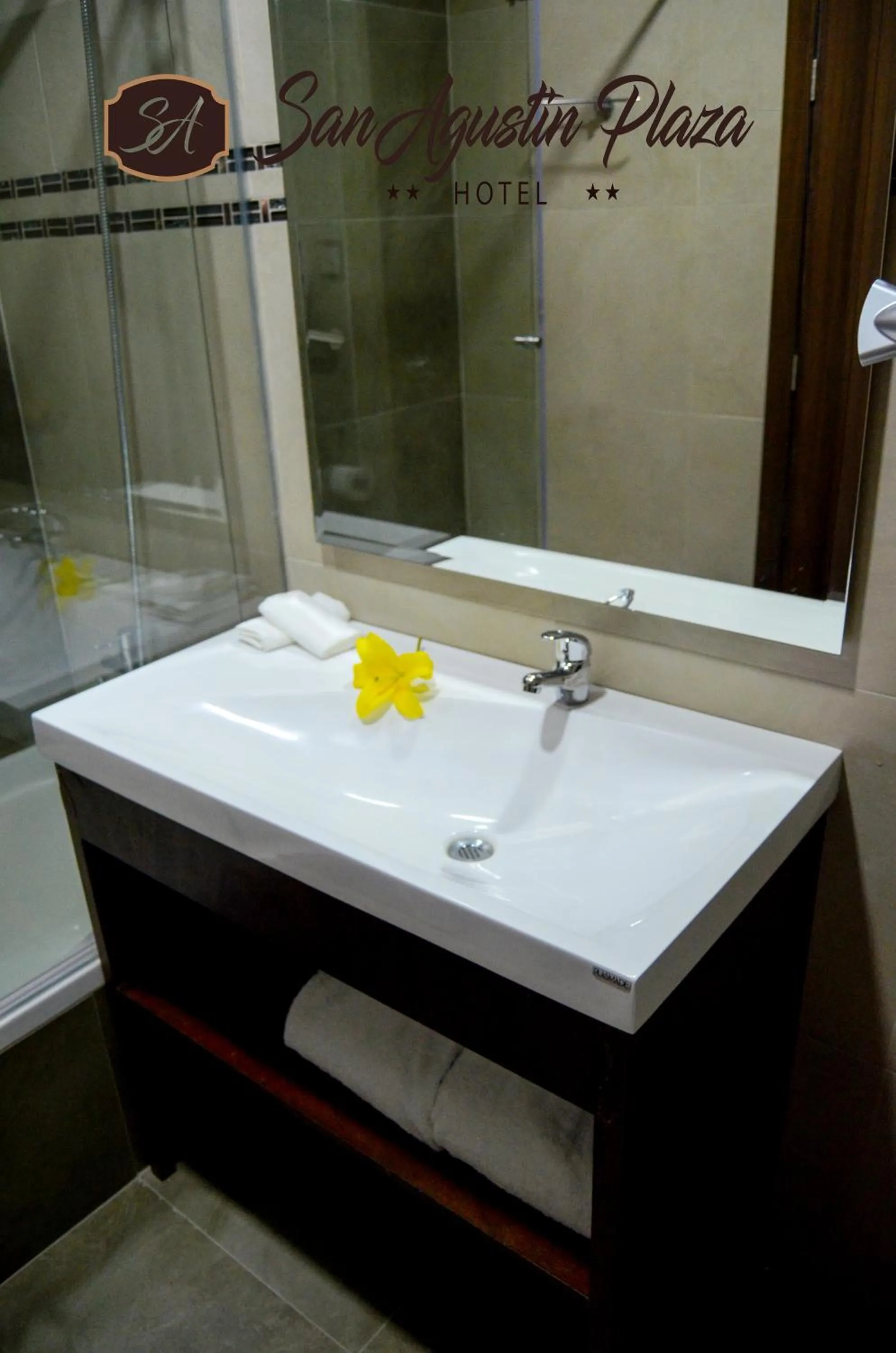 Shower in Hotel San Agustin Plaza