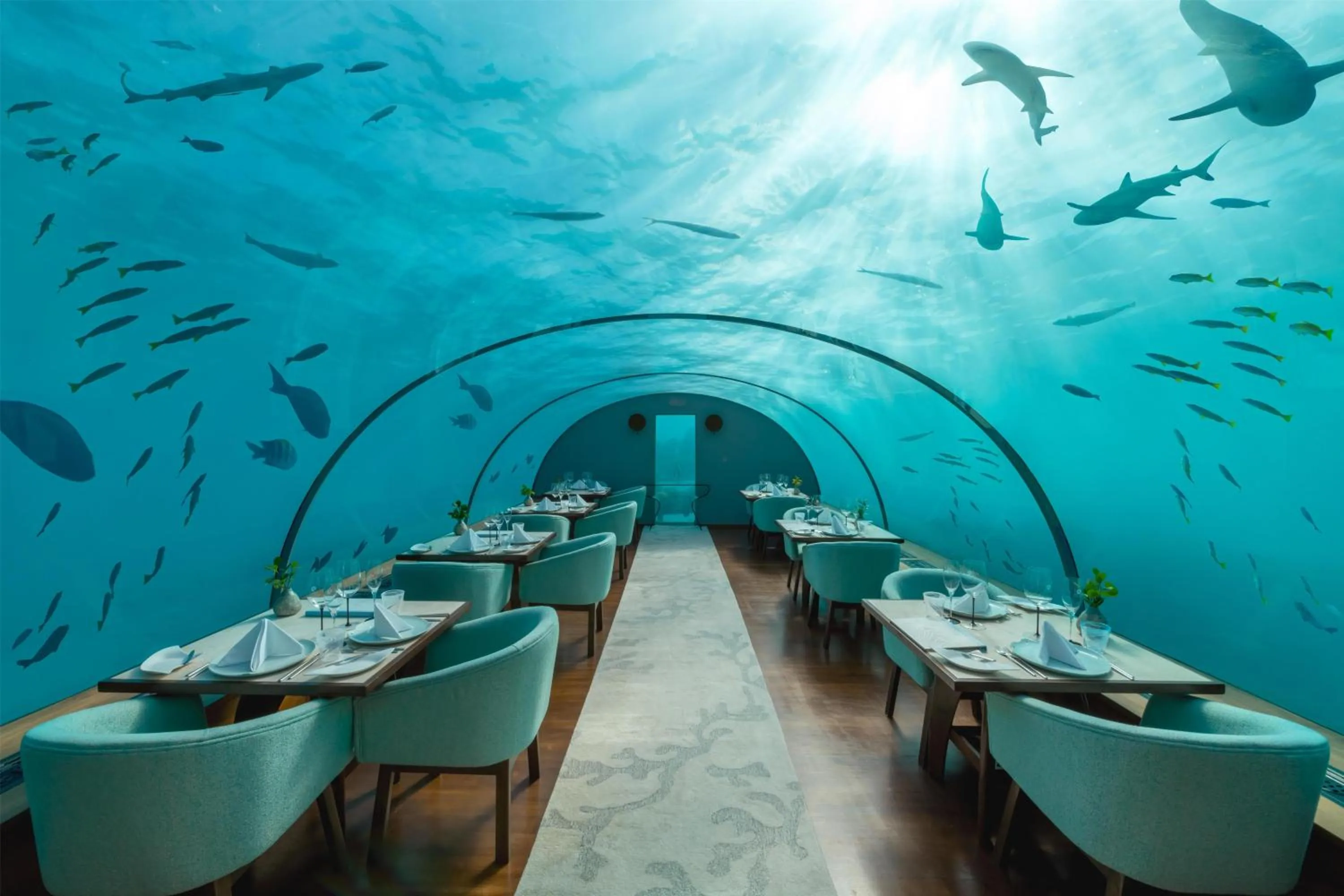 Restaurant/places to eat in Conrad Maldives Rangali Island