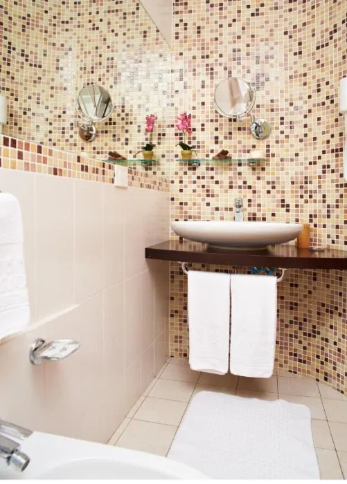 Shower in Hotel Sirio