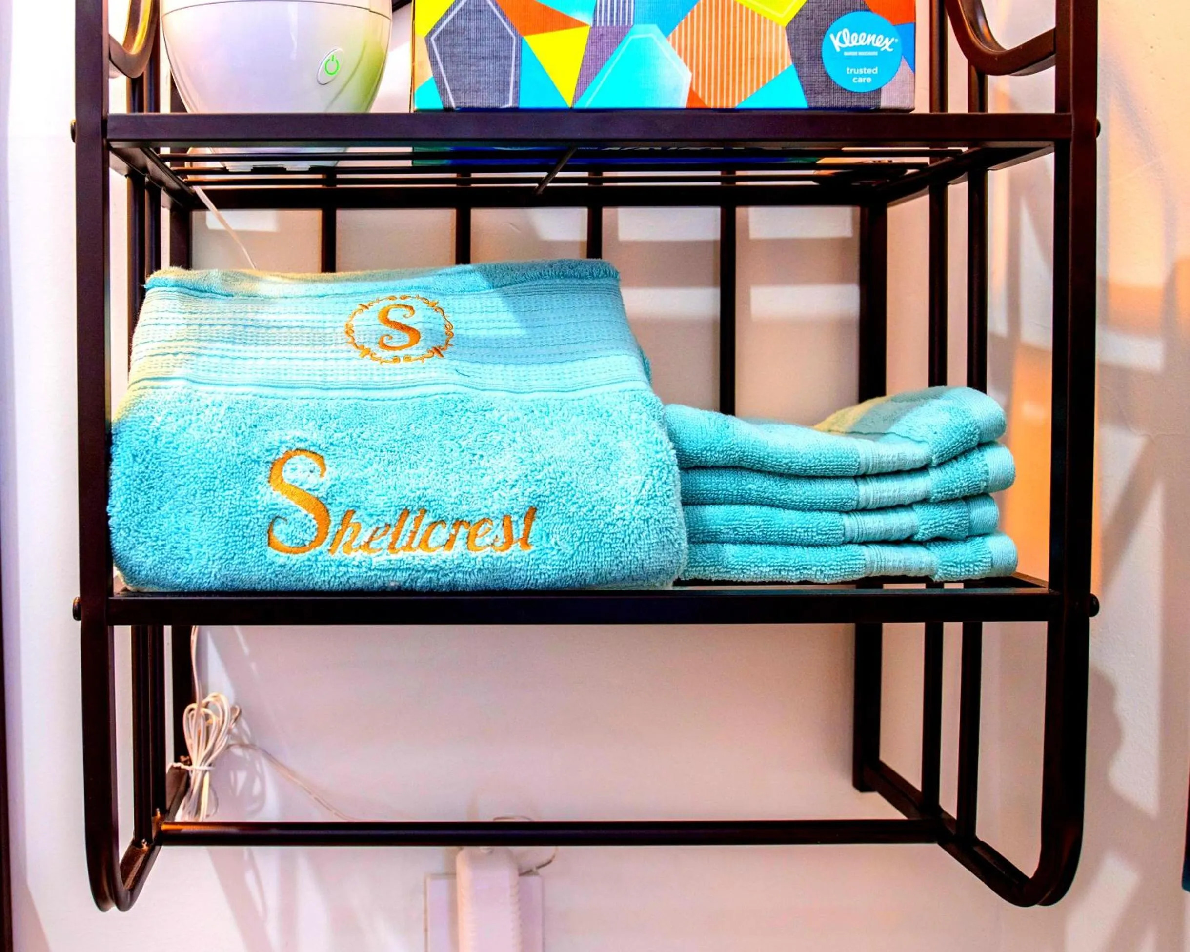 Bathroom in Downtown Memphis Shellcrest Apartments