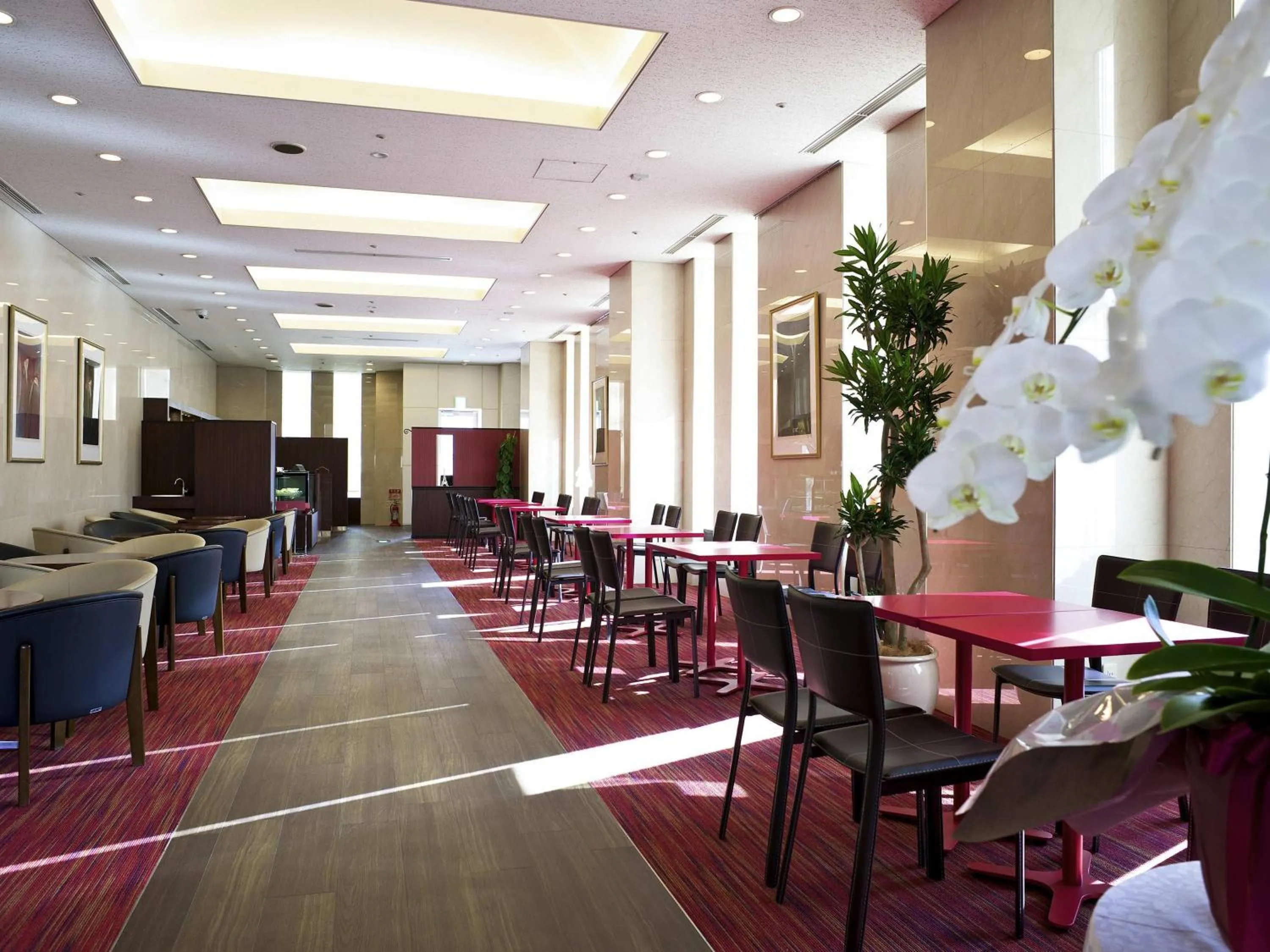 Restaurant/places to eat in Mercure Yokosuka