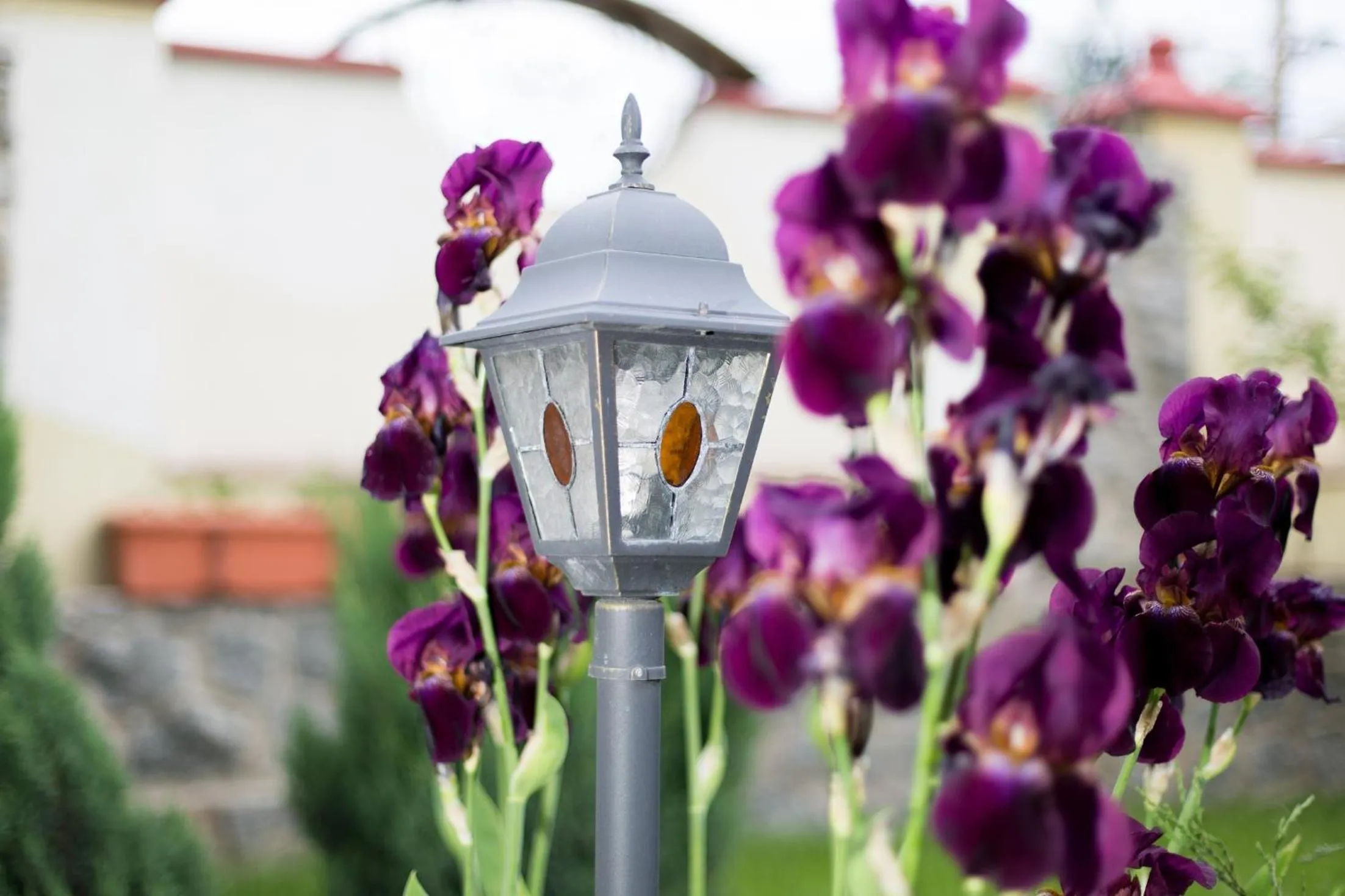 Garden view in Oselya Hotel