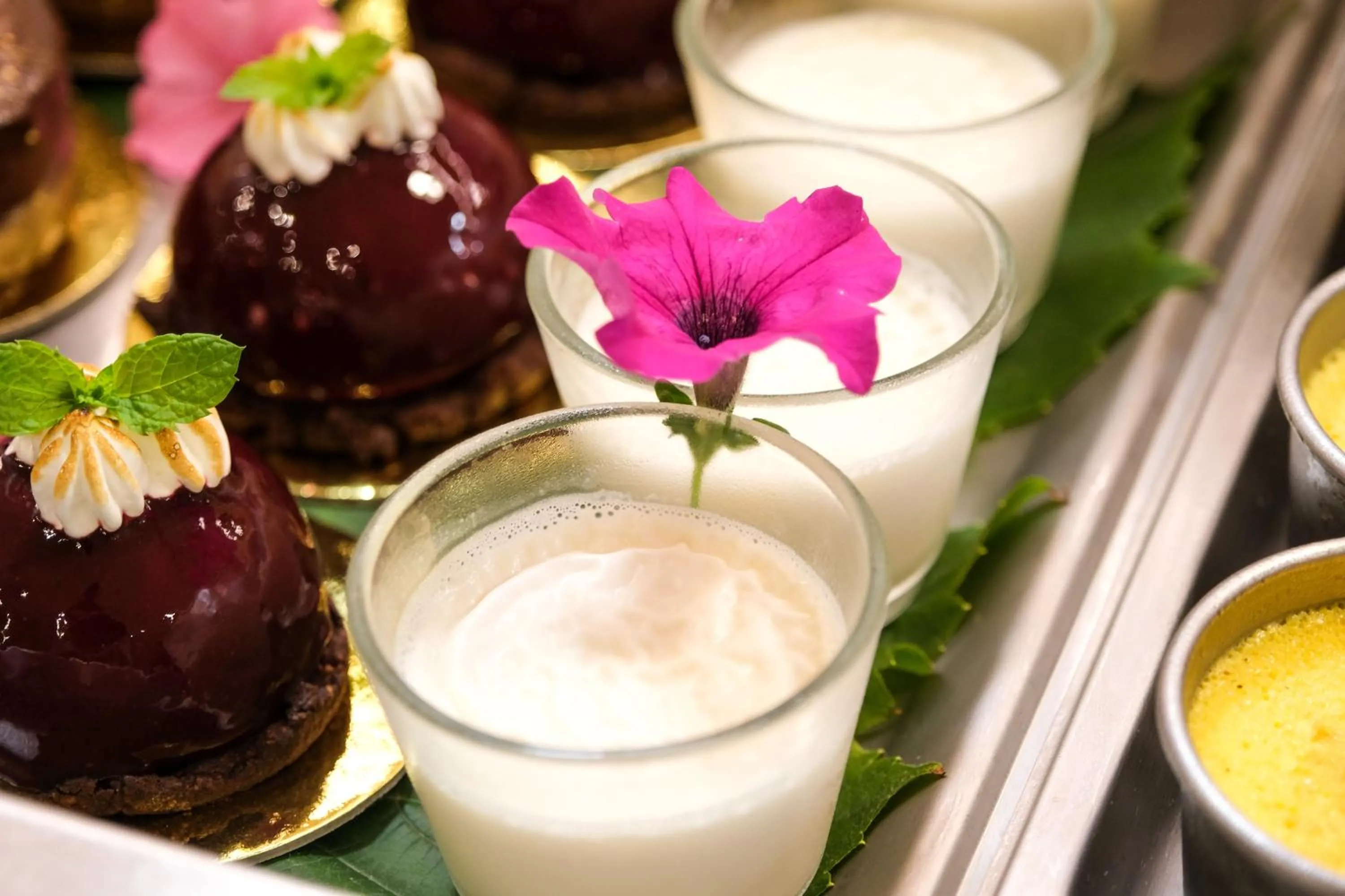 Restaurant/places to eat in Hotel Delle Mimose