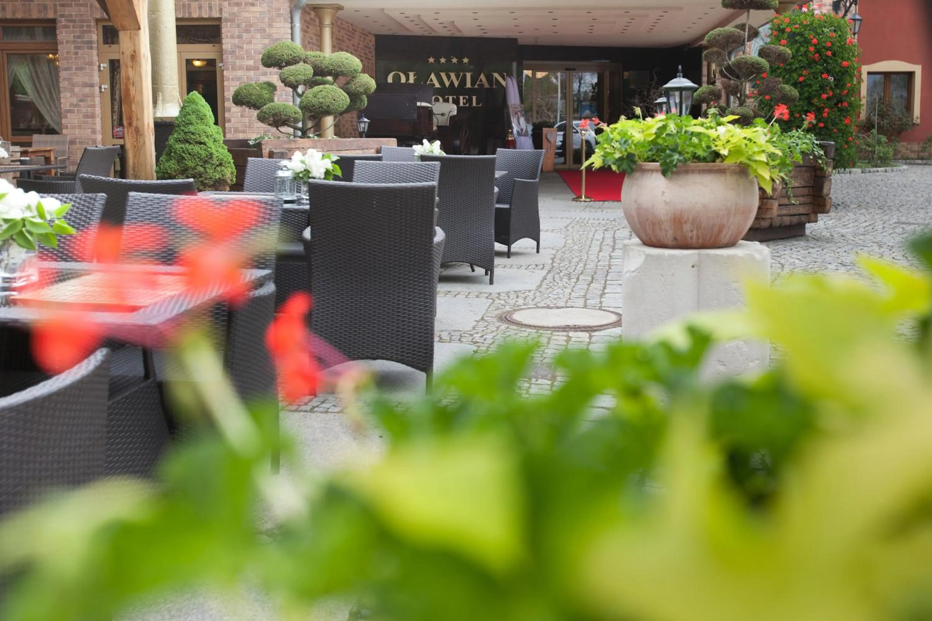 Garden in Oławian Hotel