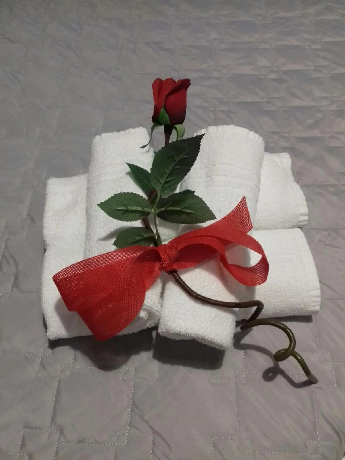 B&B LA CORTE di TIZIANA