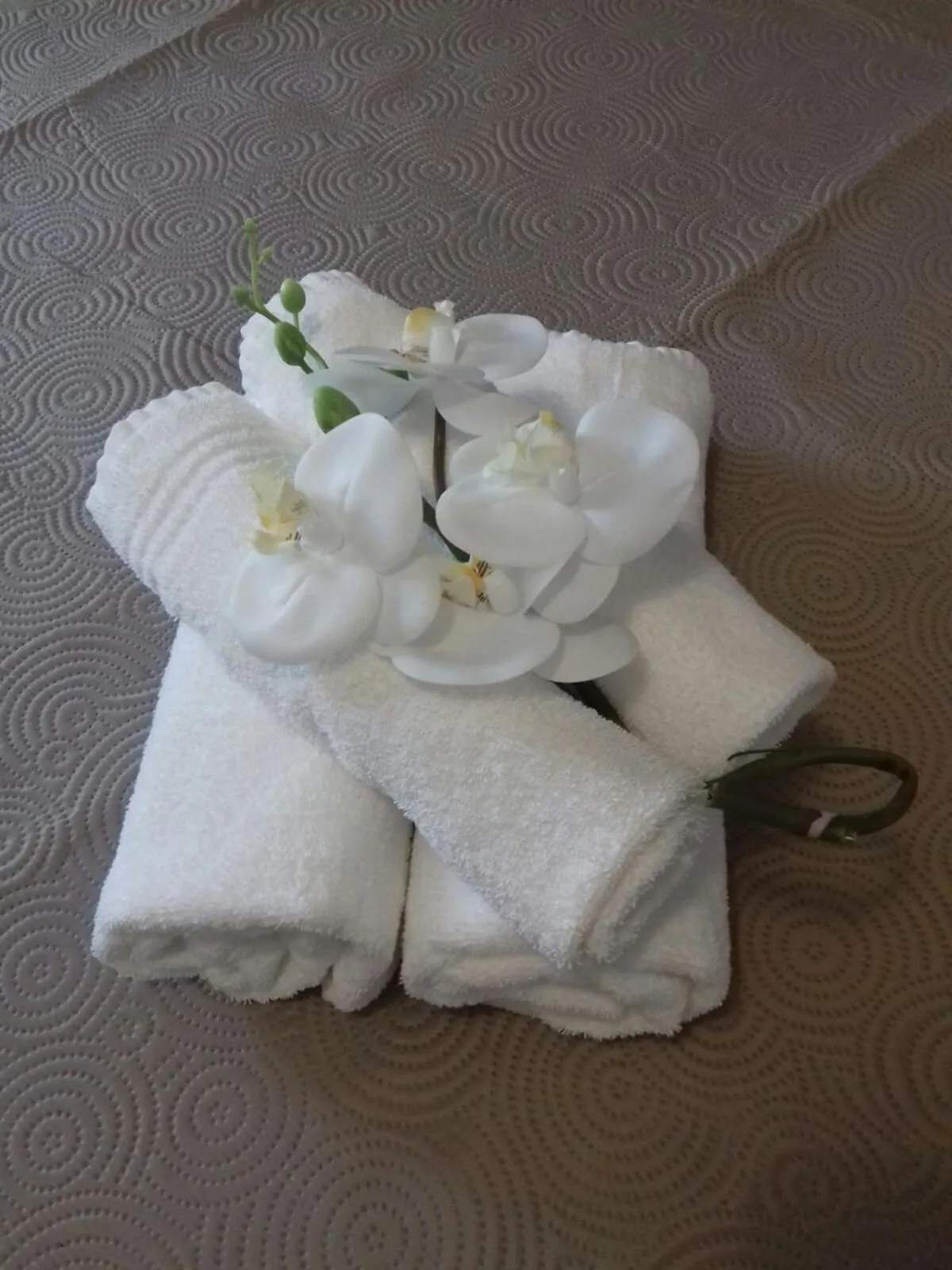 B&B LA CORTE di TIZIANA