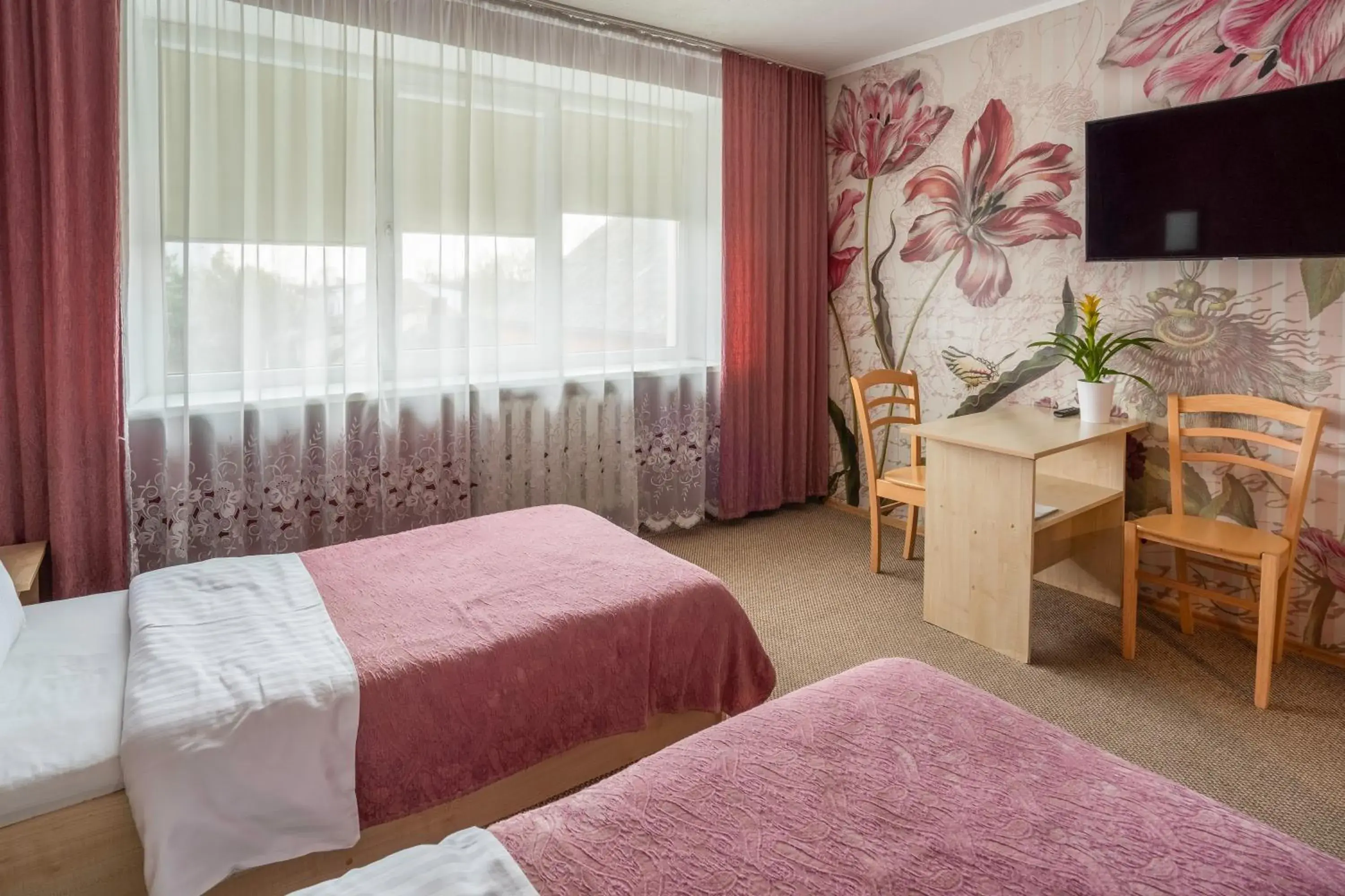 Standard Twin Room in Šiaurės Vartai Standard Twin Room in Šiaurės Vartai