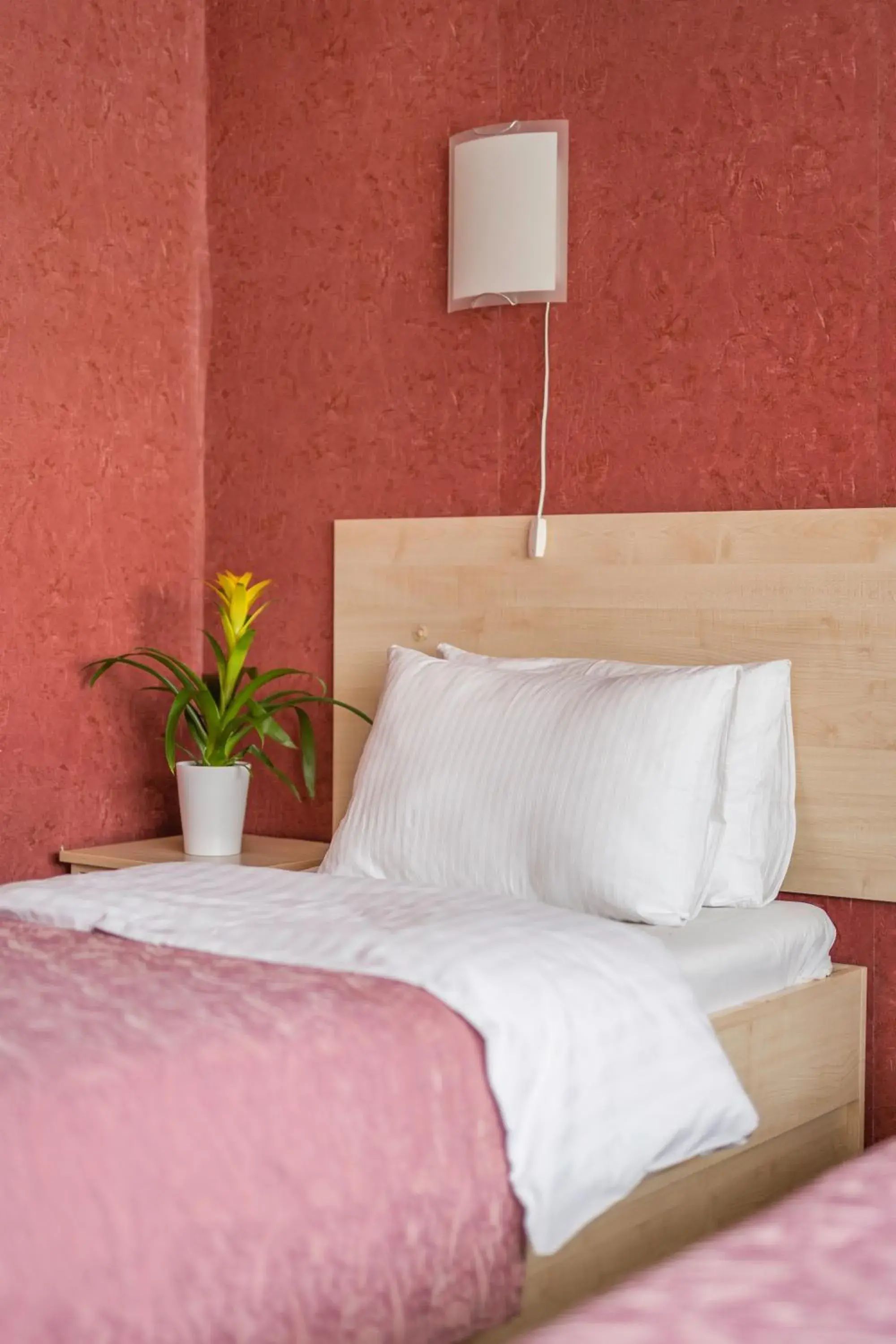 Standard Twin Room in Šiaurės Vartai Standard Twin Room in Šiaurės Vartai