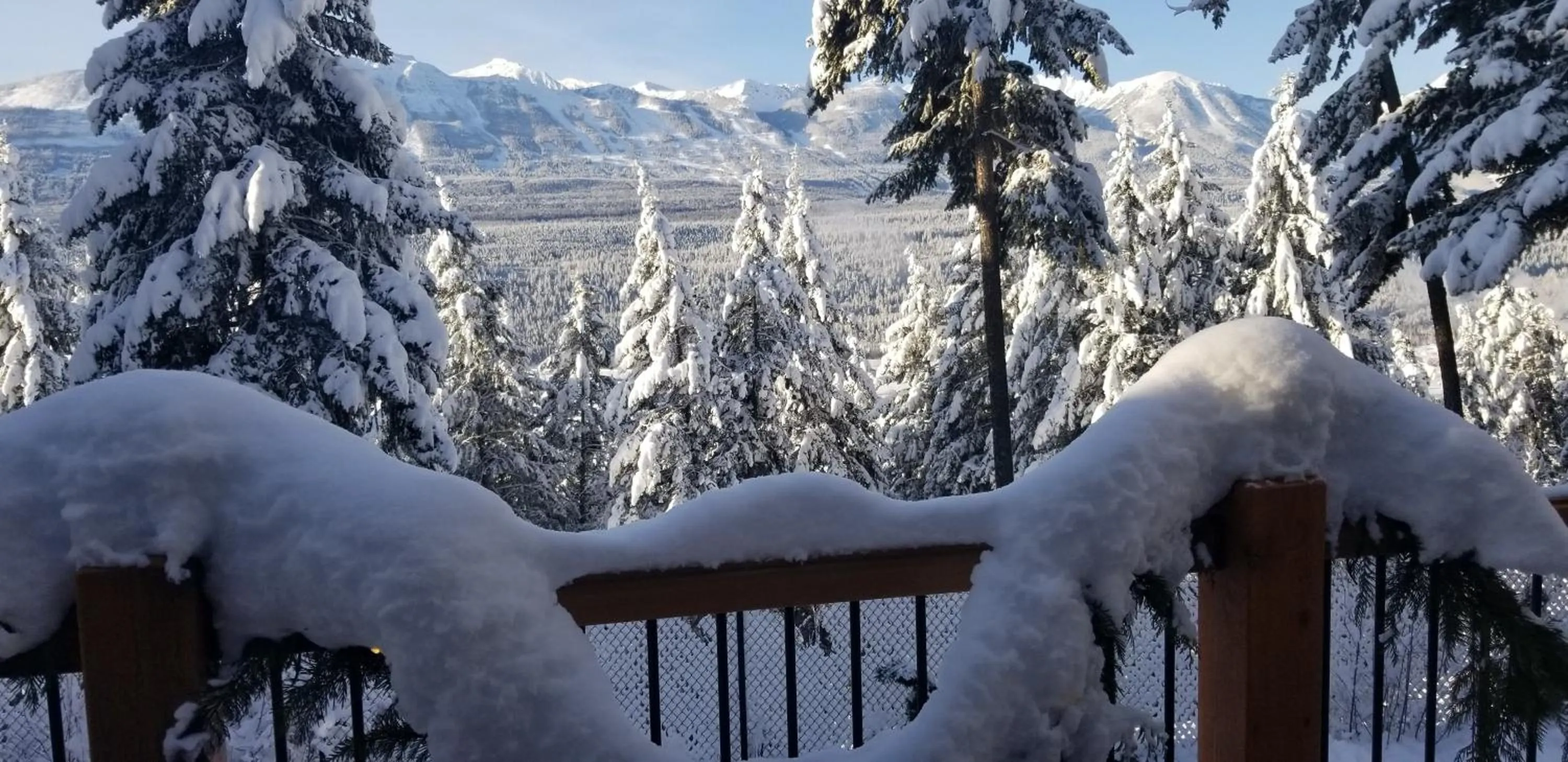 Mountain view in Deer Ridge B&B