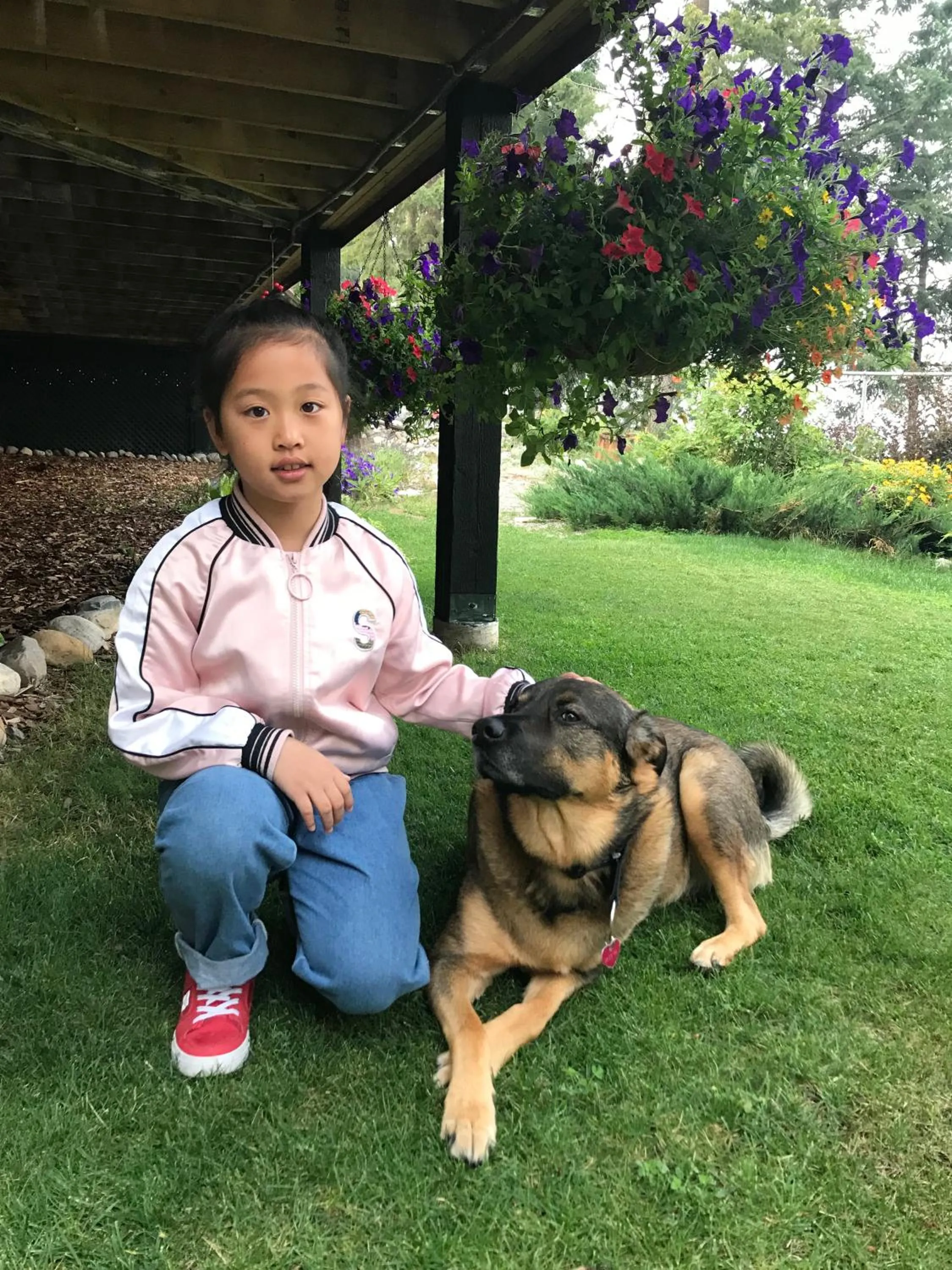 Pets in Deer Ridge B&B