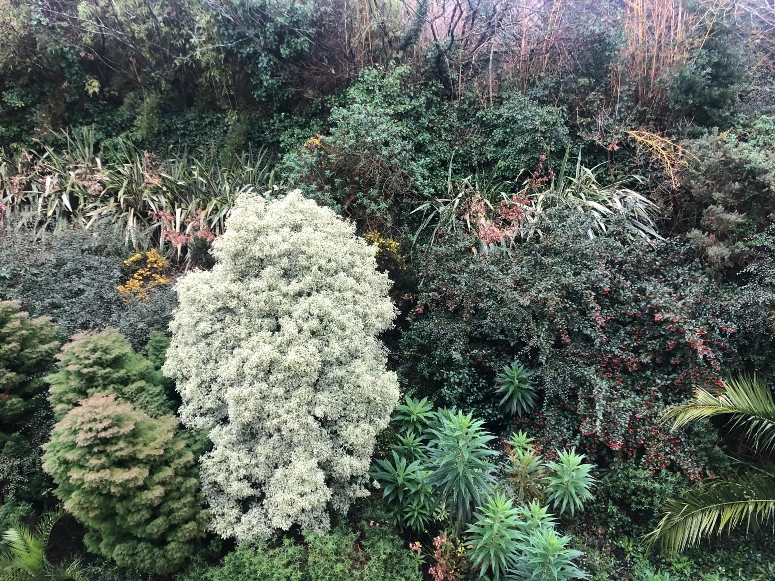 Garden view in Logis Hotel De La Corniche