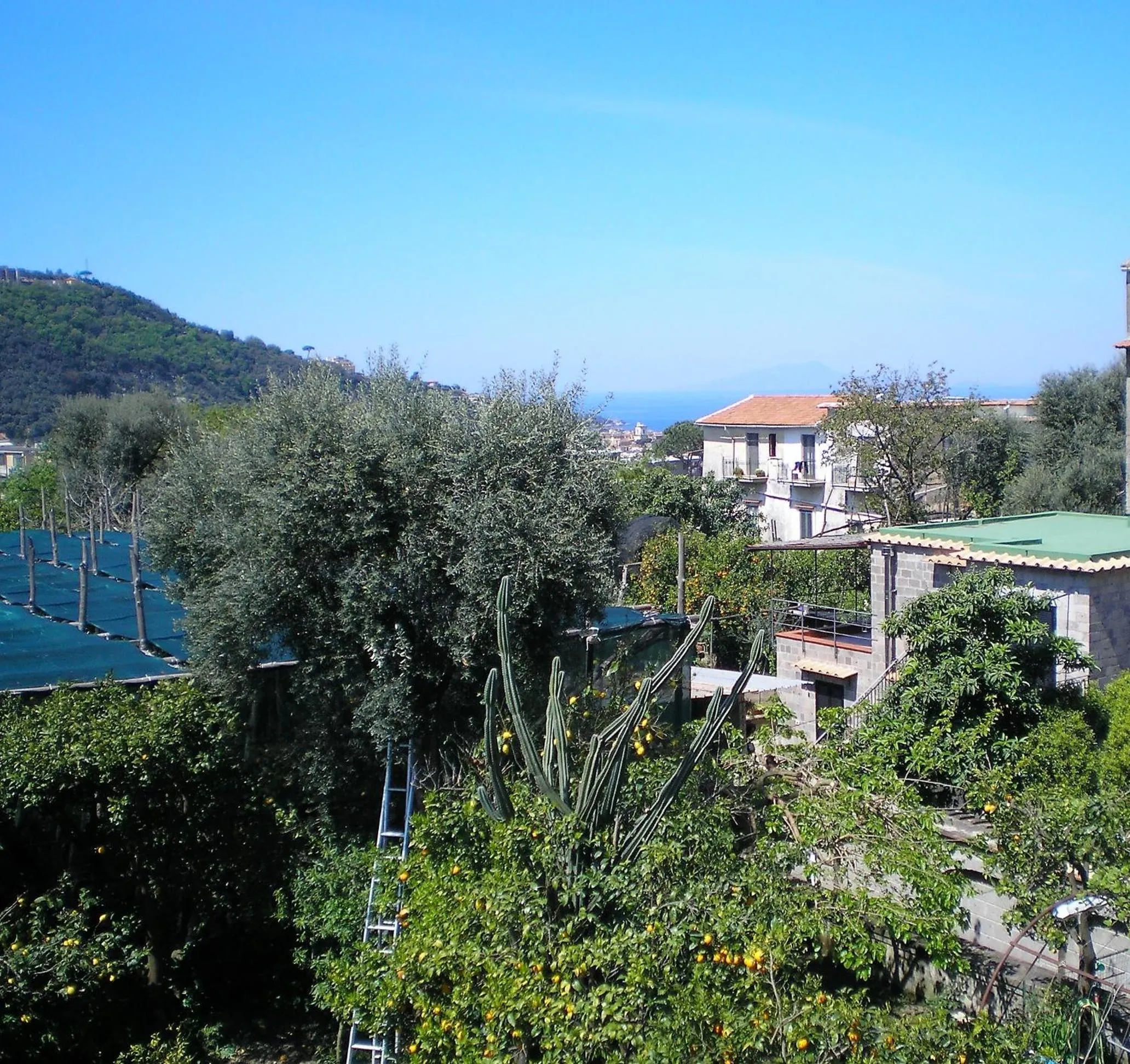 Garden view in Itaca B&B
