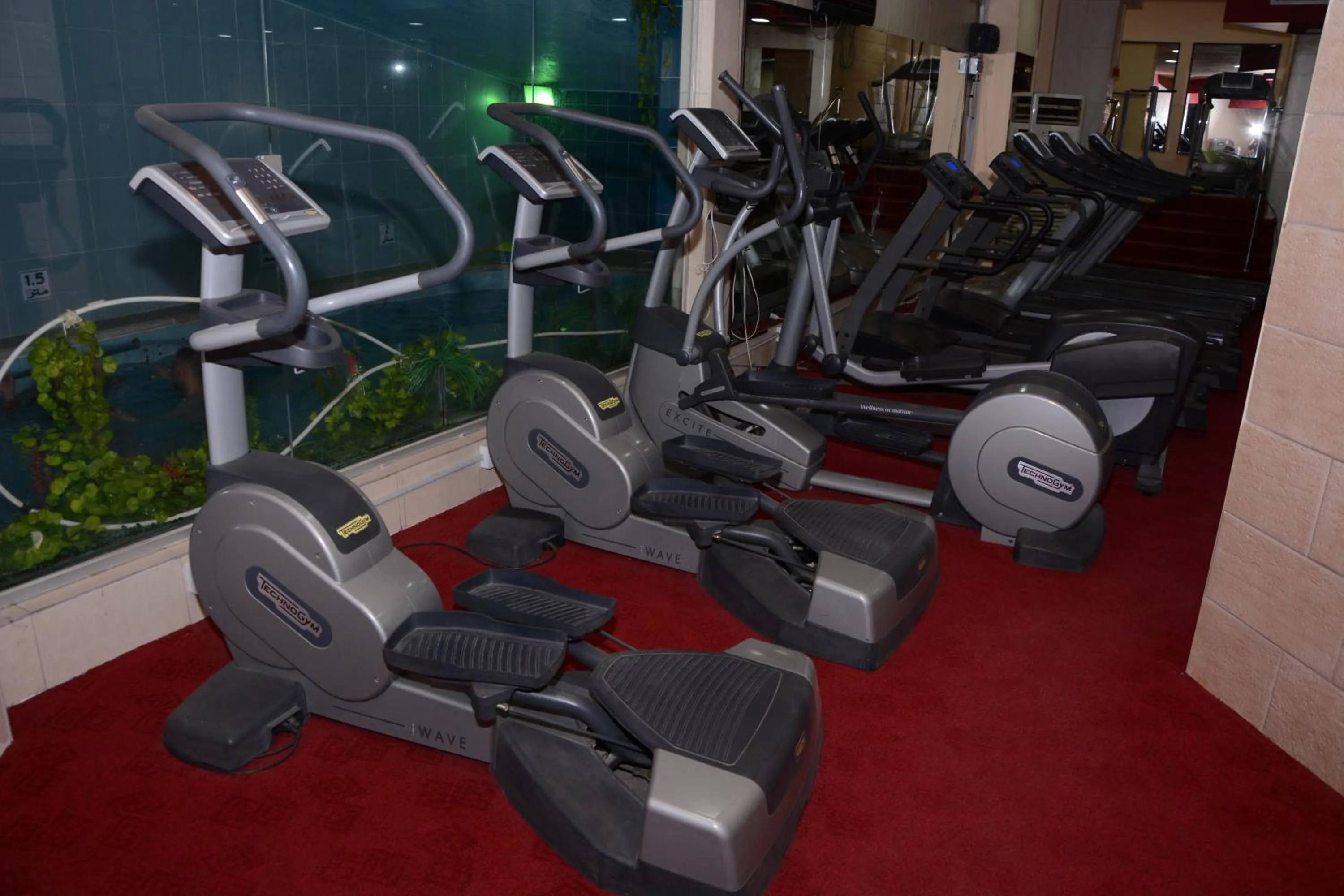 Activities in Rojina Hotel