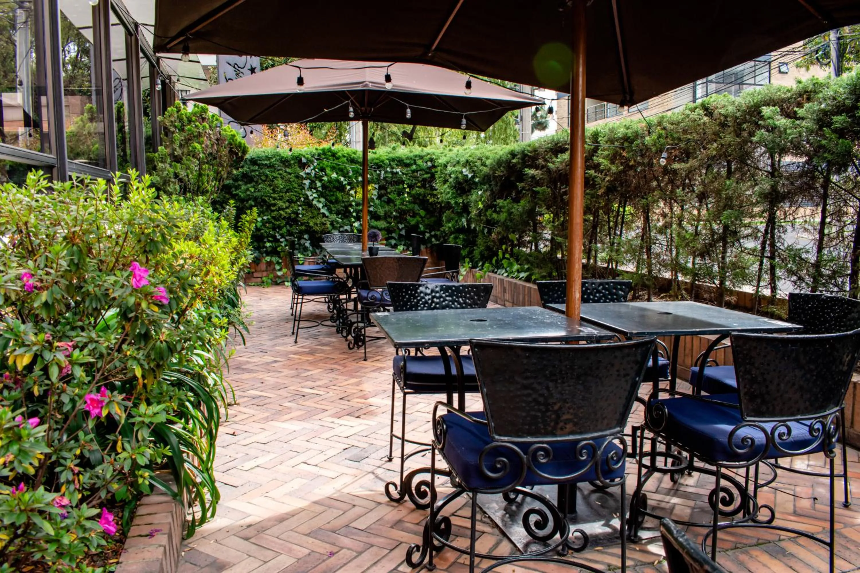 Patio in Hotel 101 Park House