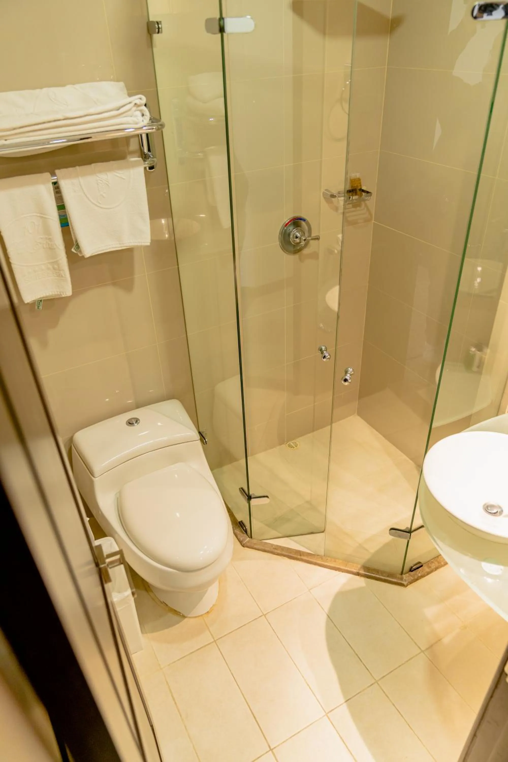 Shower in Hotel 101 Park House