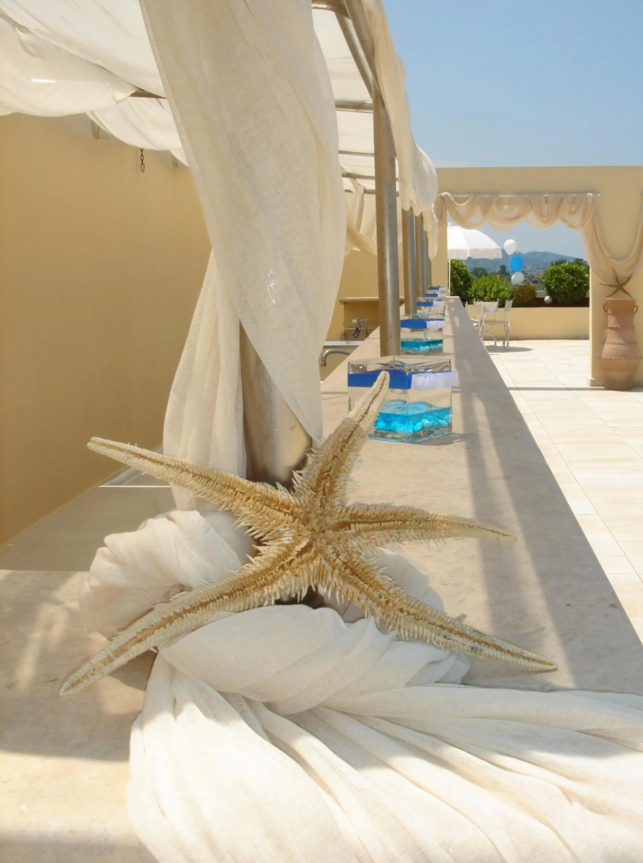 Day in Dolphin Resort & Conference