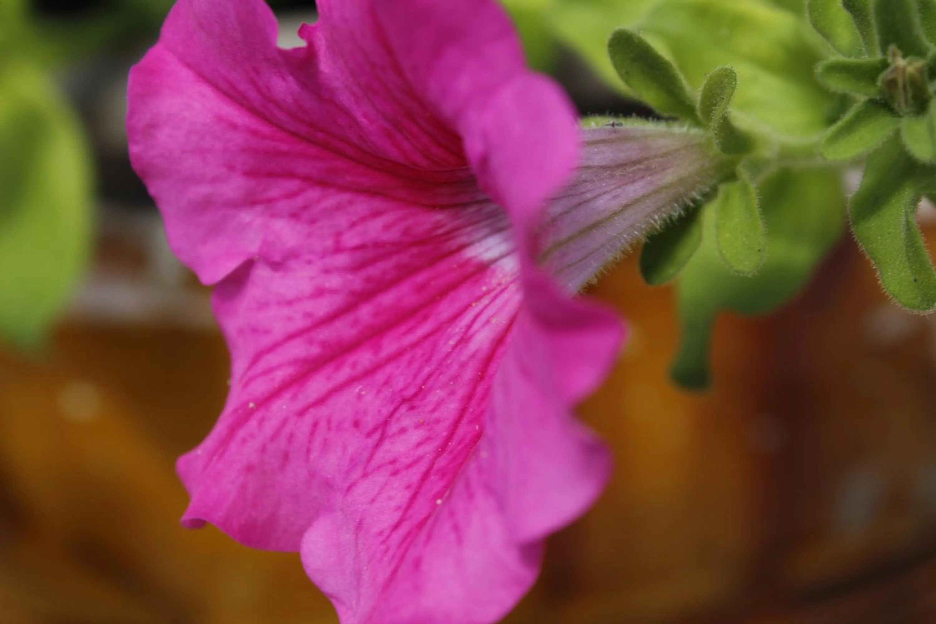 Natural landscape in La Buona Creanza by Jdvacanze