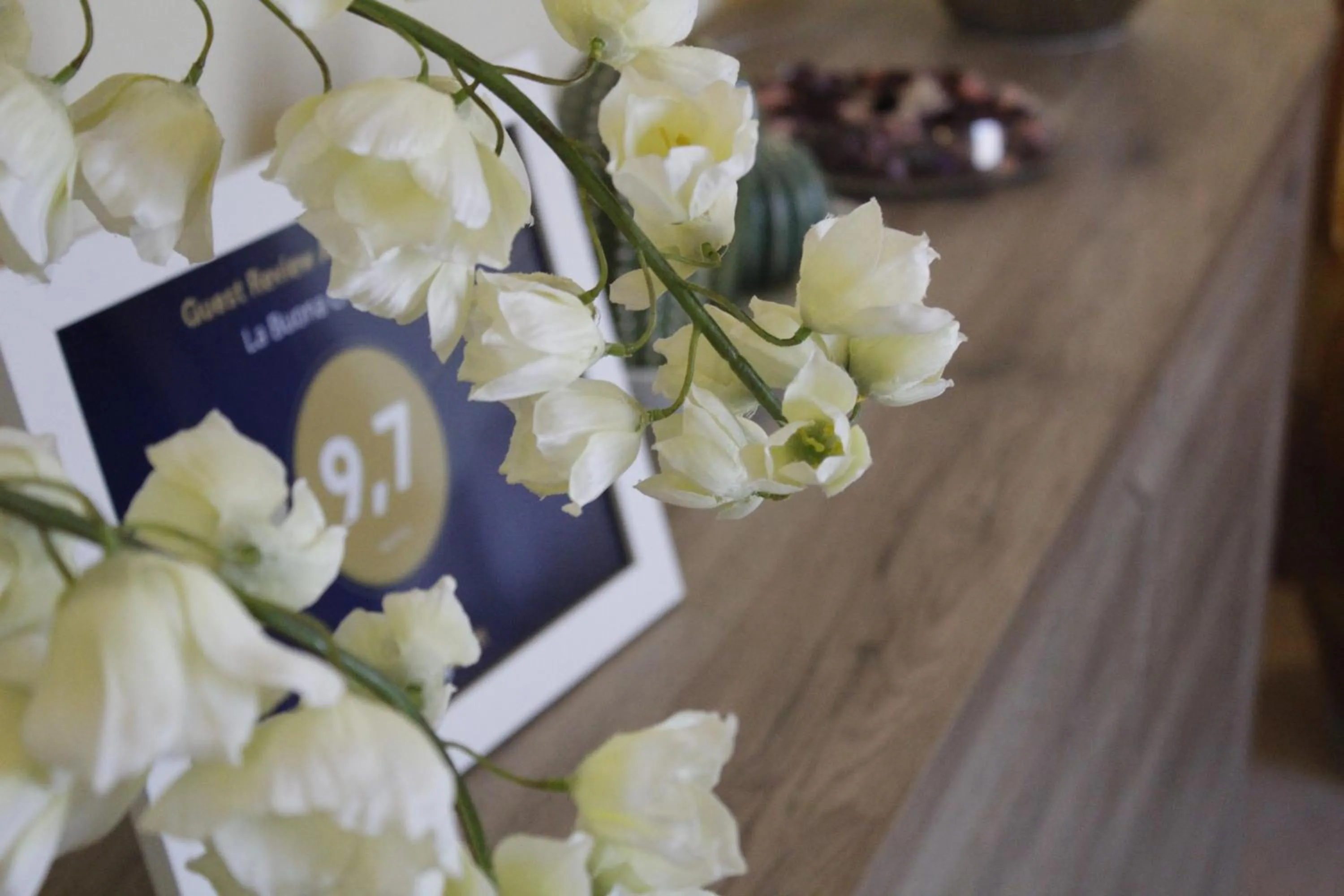 Certificate/Award in La Buona Creanza by Jdvacanze