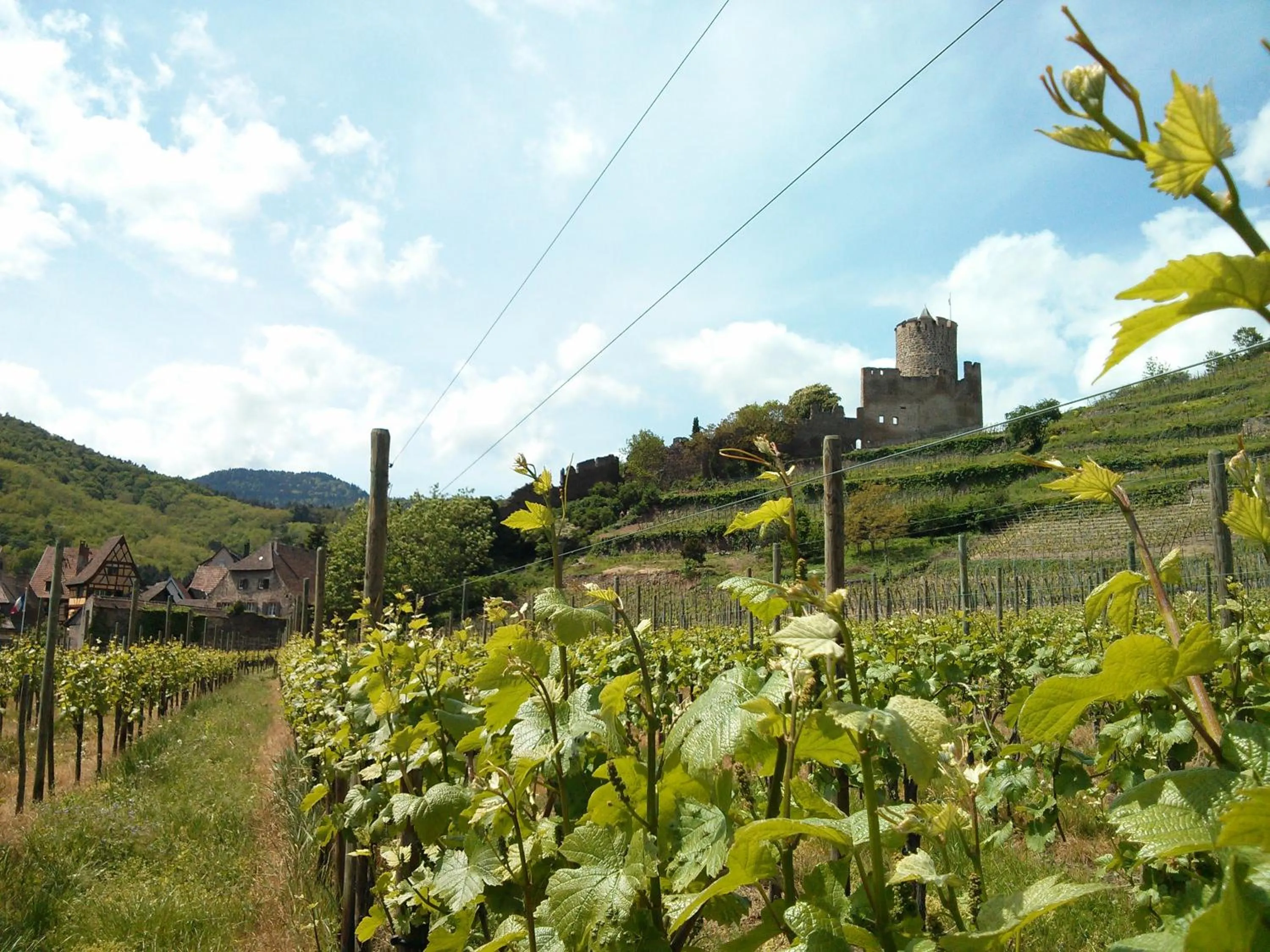 Nearby landmark in Marcia Donatti - A l'Ombre des Coteaux Sao Paulo