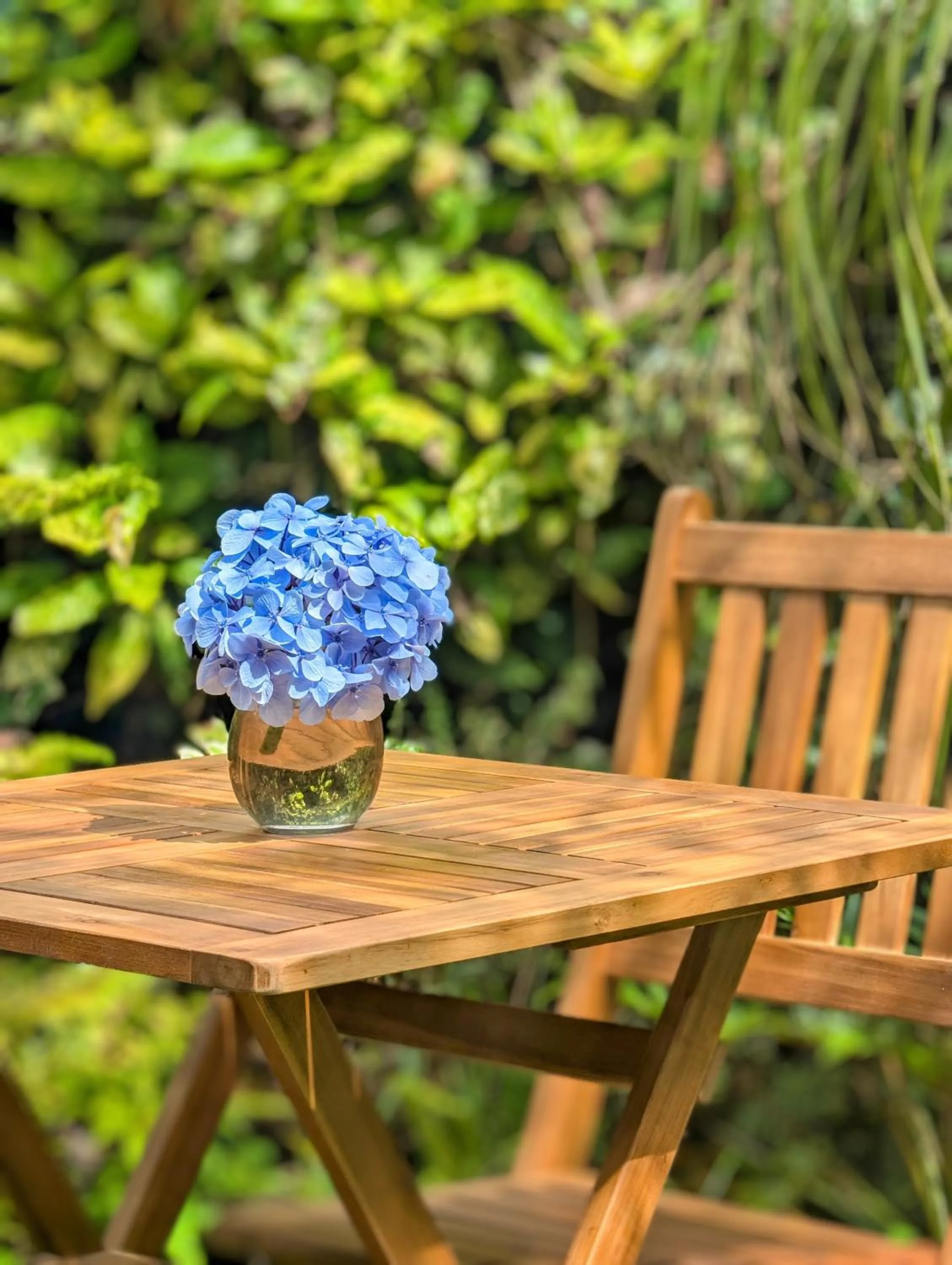 Garden in Hotel Vale Verde