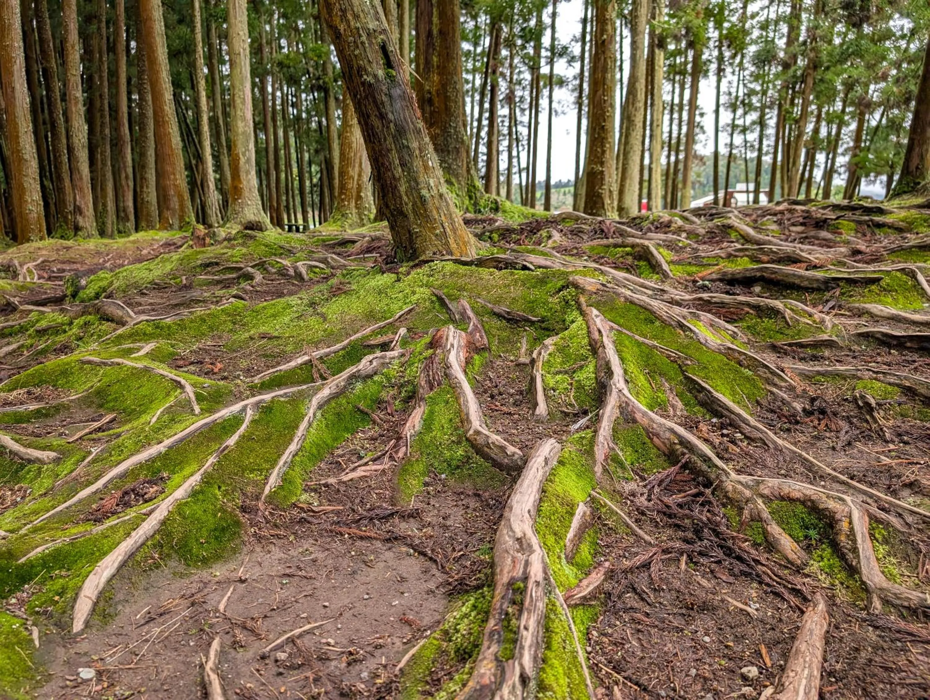 Natural landscape in Hotel Vale Verde