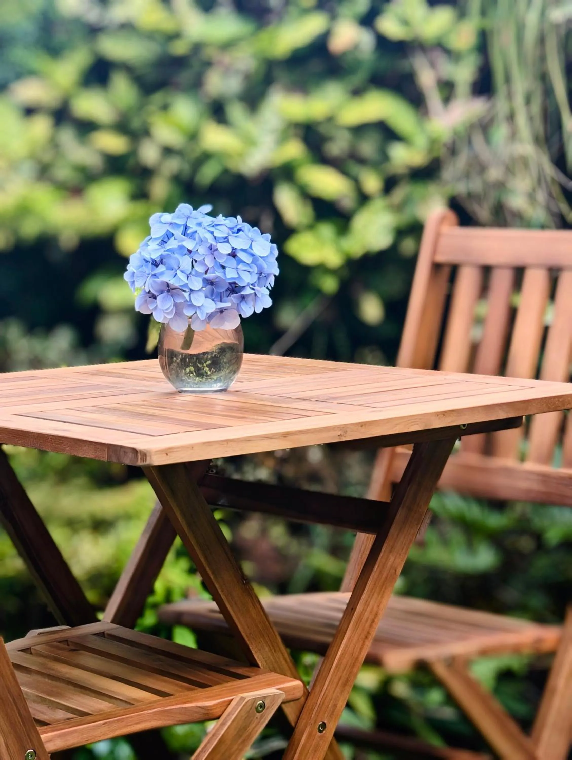 Garden in Hotel Vale Verde