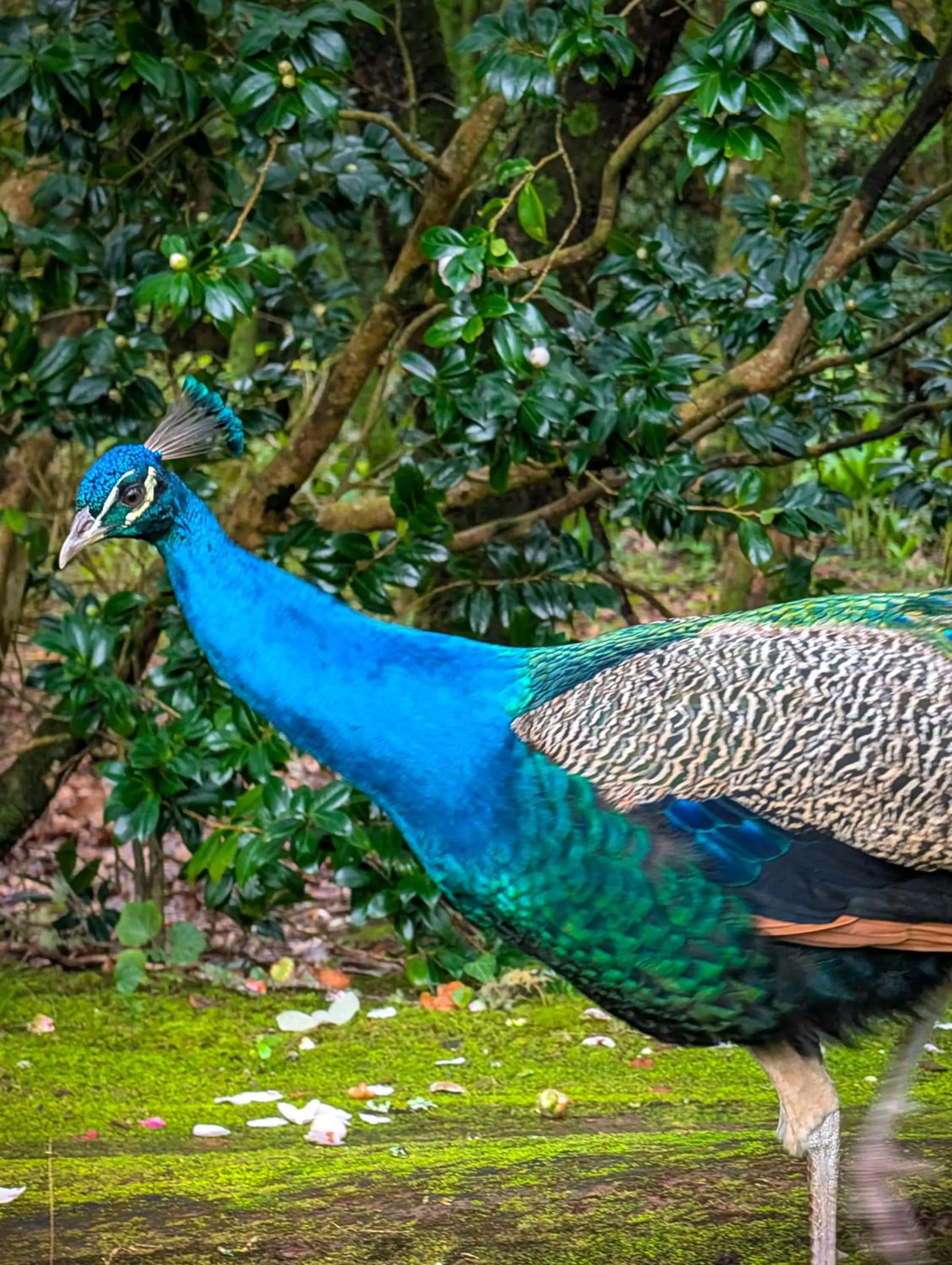 Nearby landmark in Hotel Vale Verde