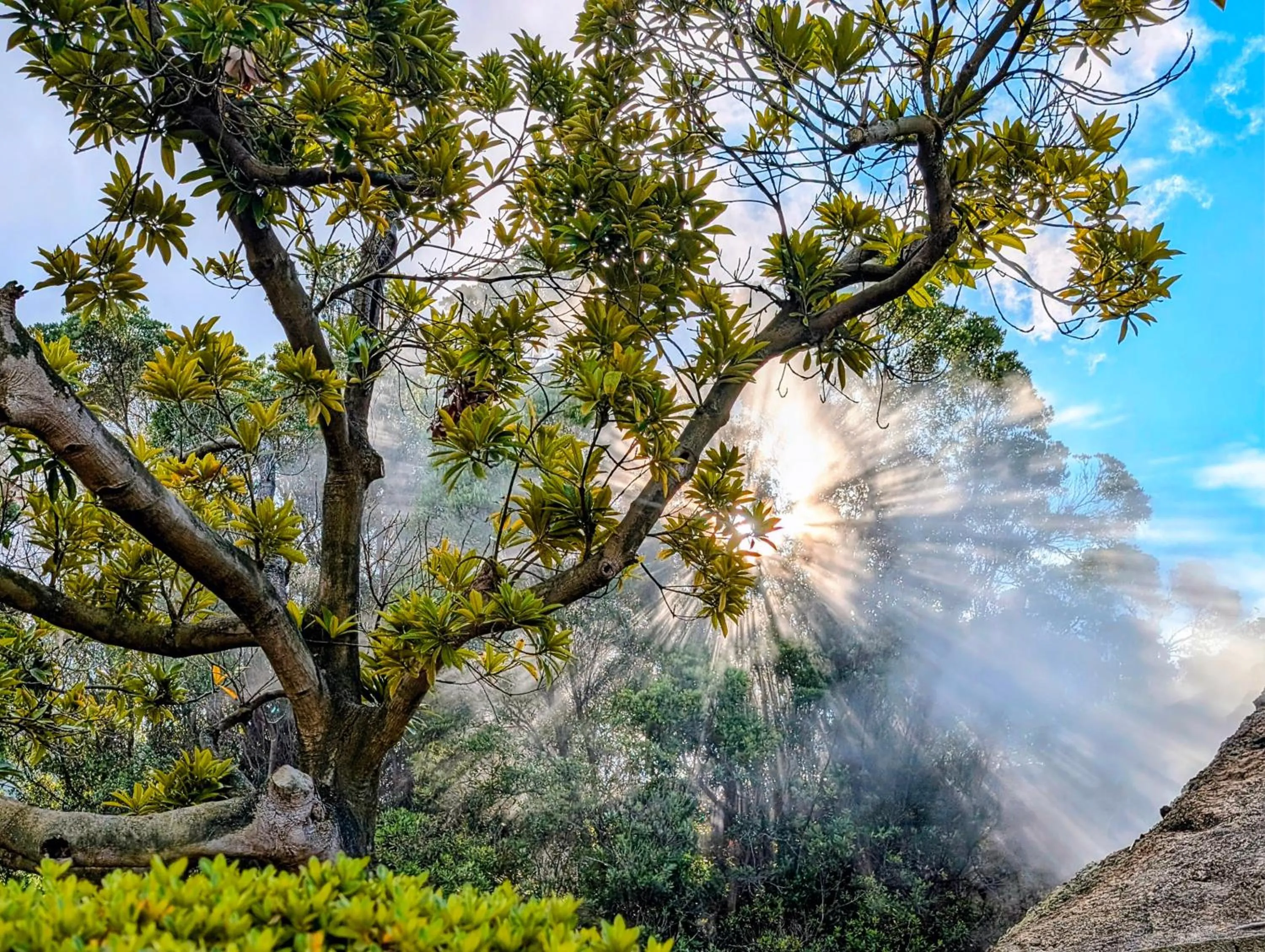 Nearby landmark in Hotel Vale Verde