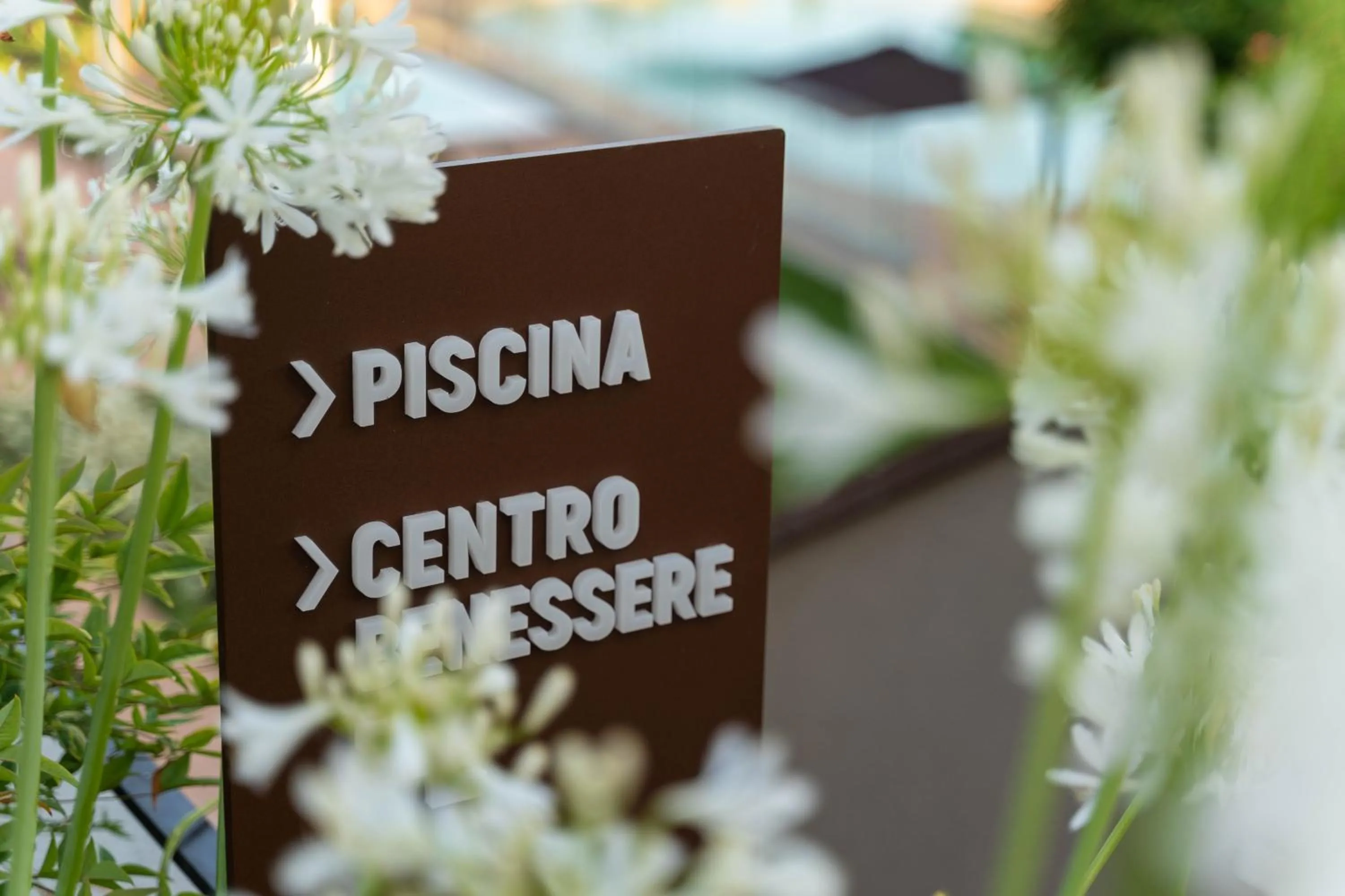 Swimming pool in Sogno di Davide Country House