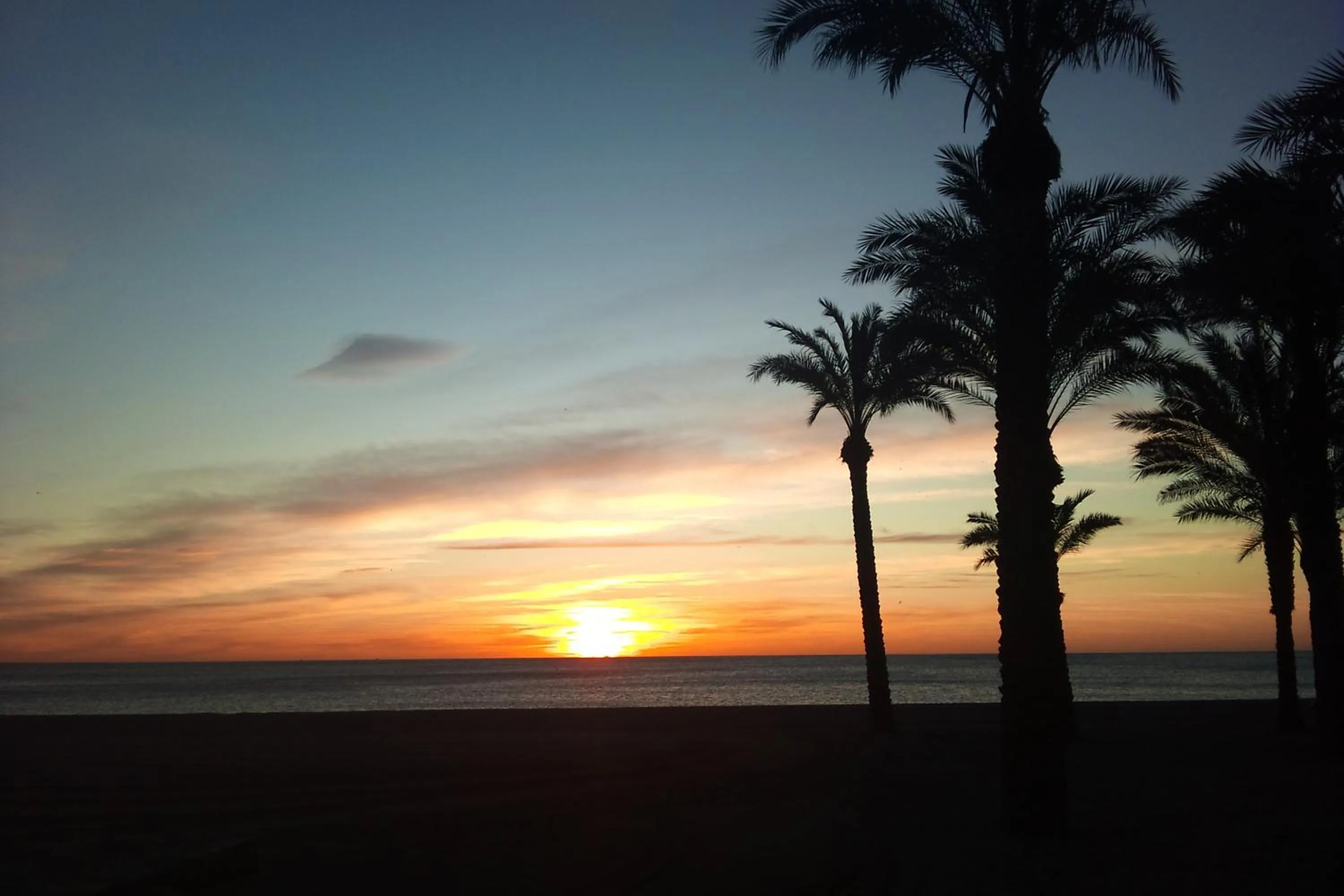 Beach in iloftmalaga Ático Playa de los Álamos