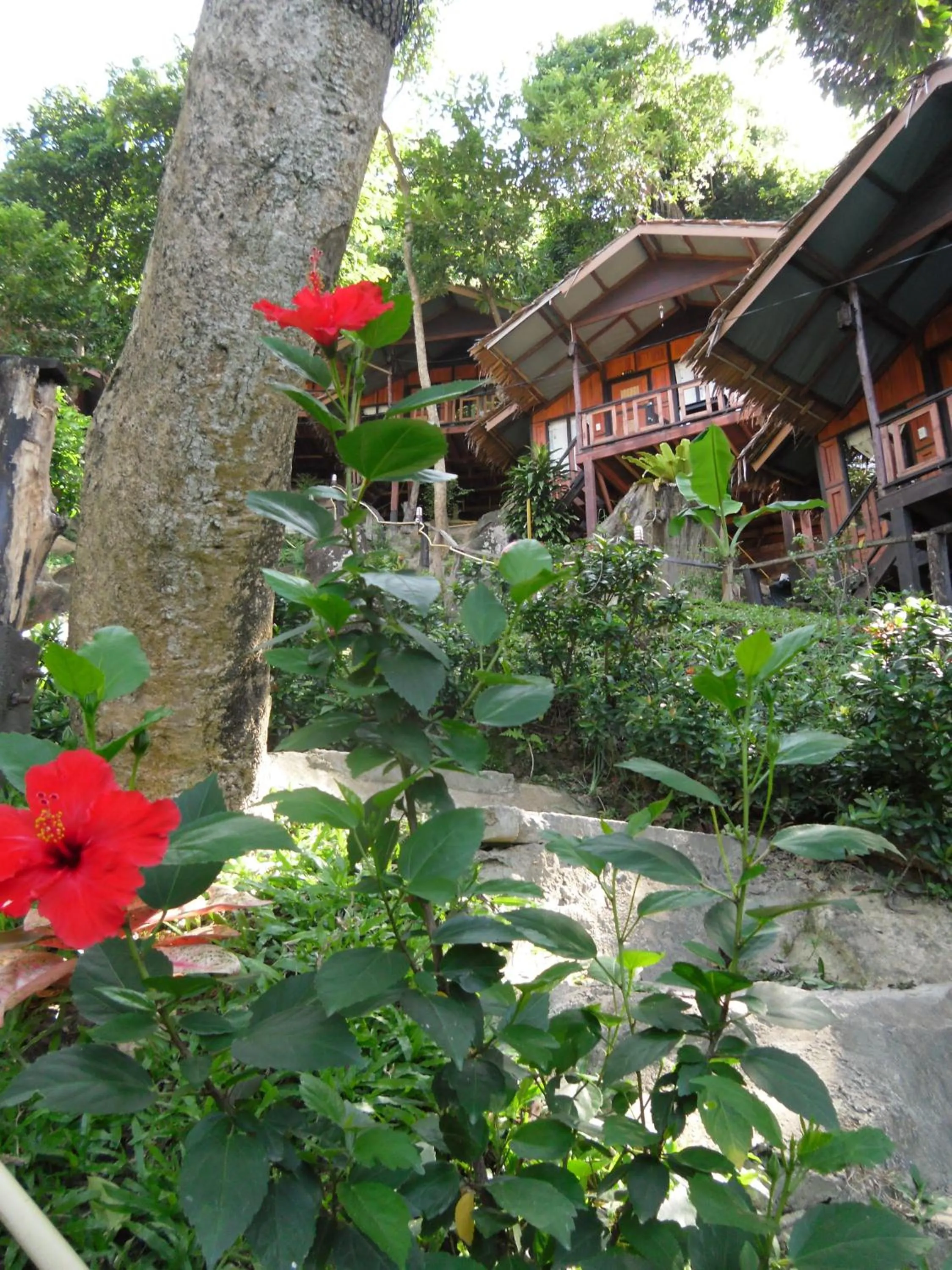 Area and facilities in Phi Phi Green Hill Resort