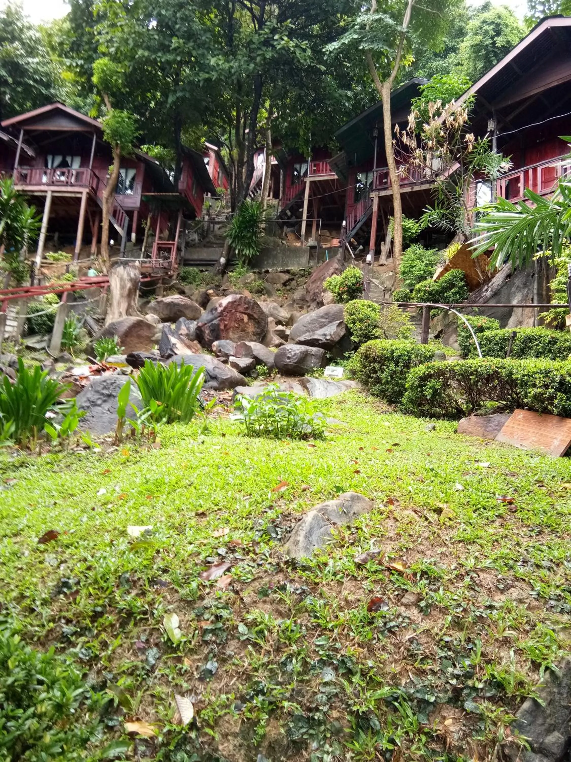 Natural landscape in Phi Phi Green Hill Resort